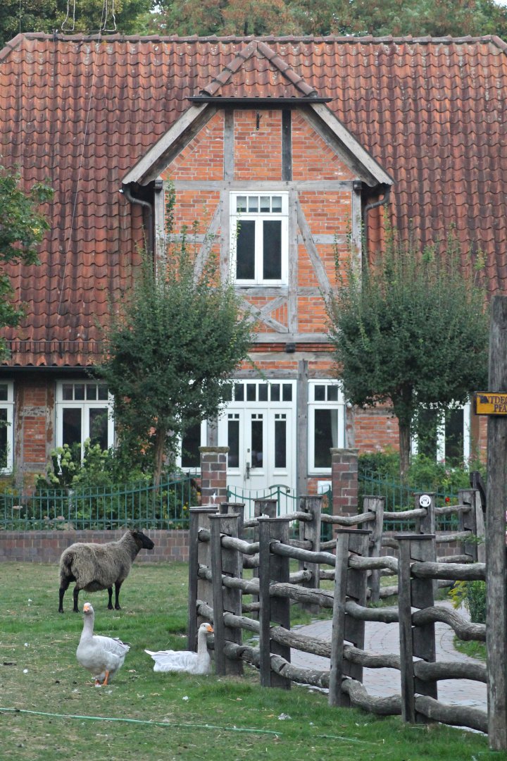 German/european area