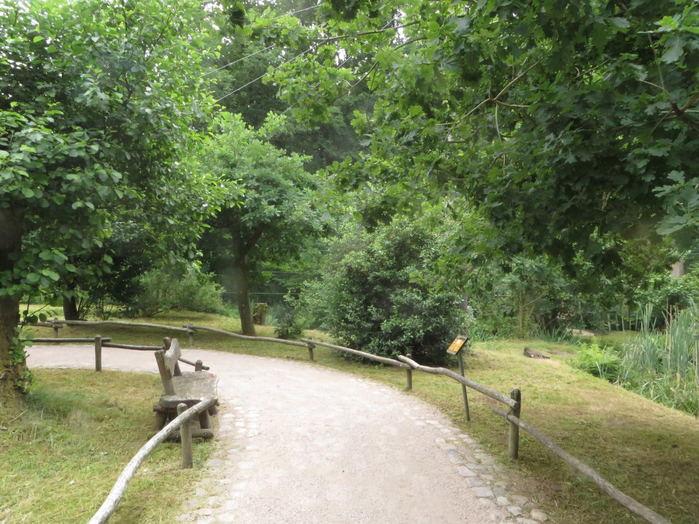 German forest aviary