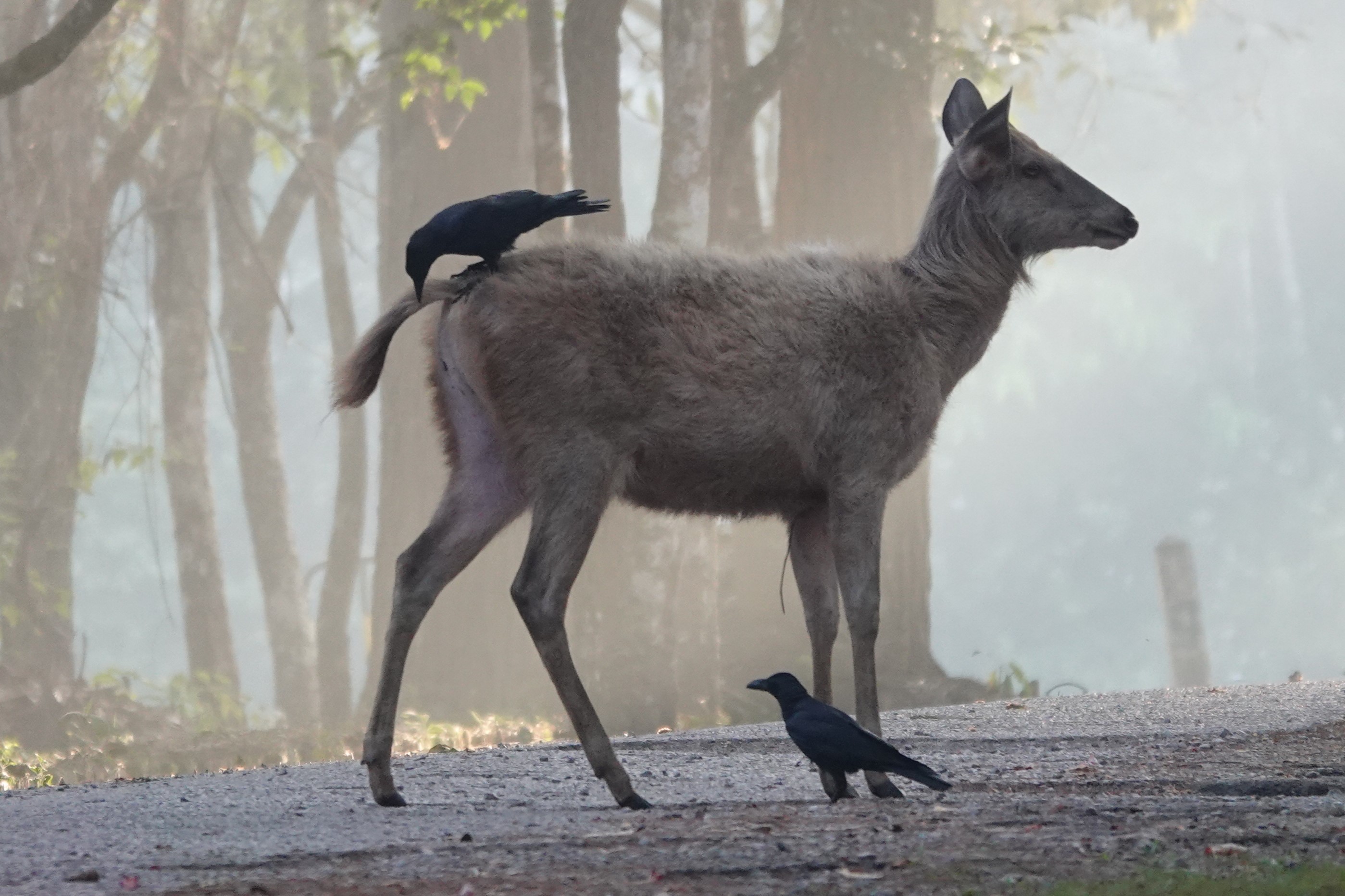 Getting youre behind checked