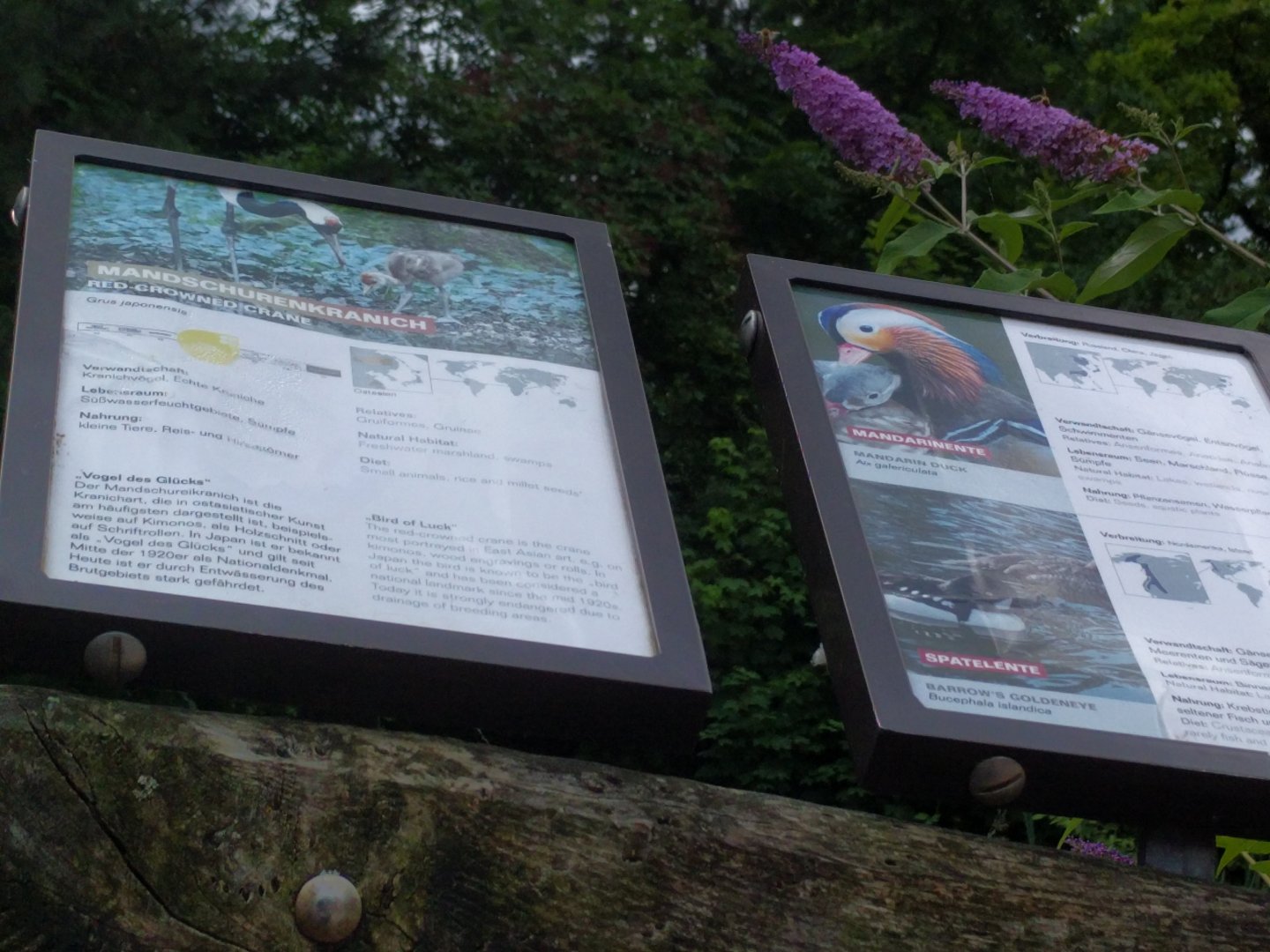 Geysir Lake Bird Signage