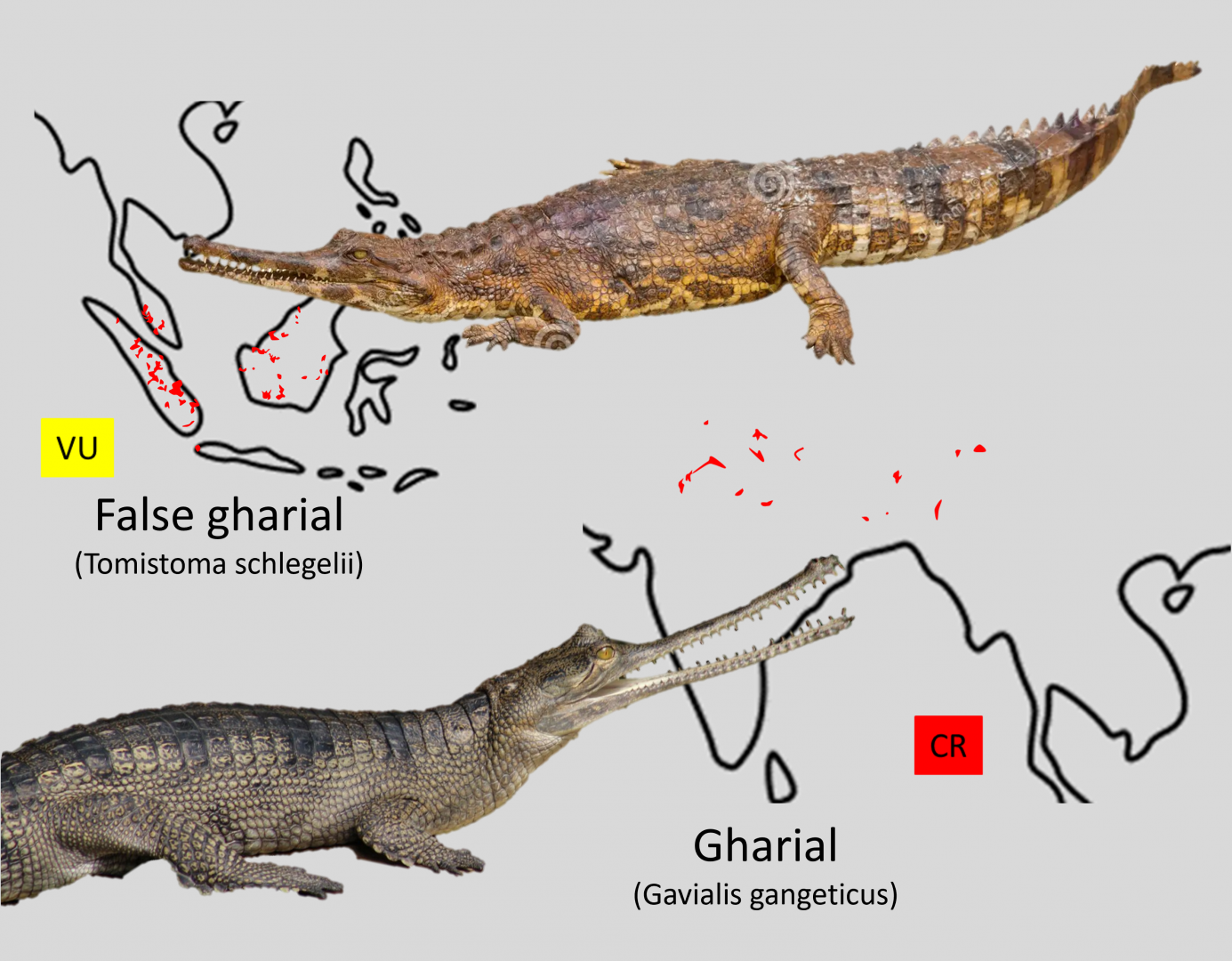 Gharial distribution maps