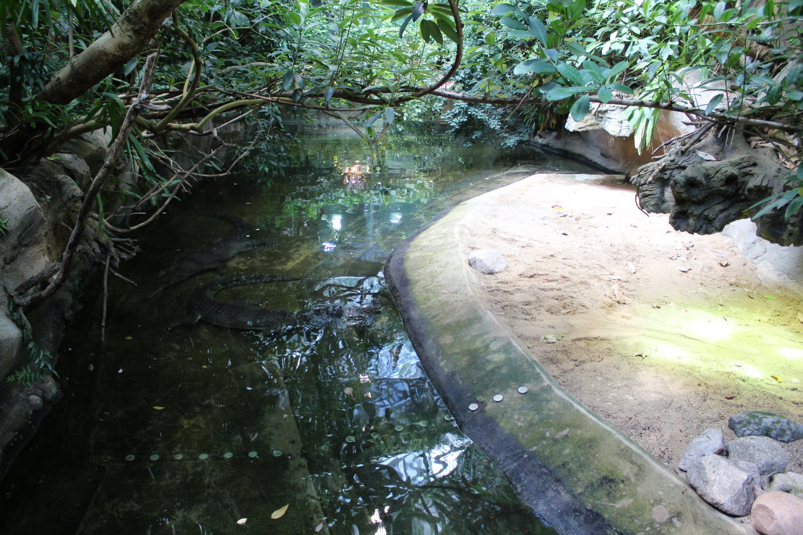 Gharial Enclosure - July 2019
