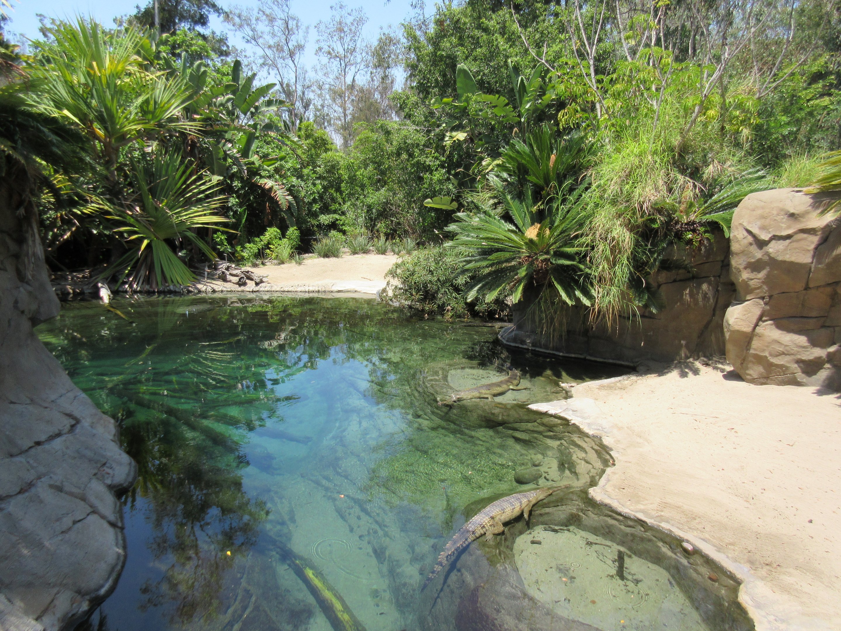 Gharial Exhibit (also with a dozen turtle species)