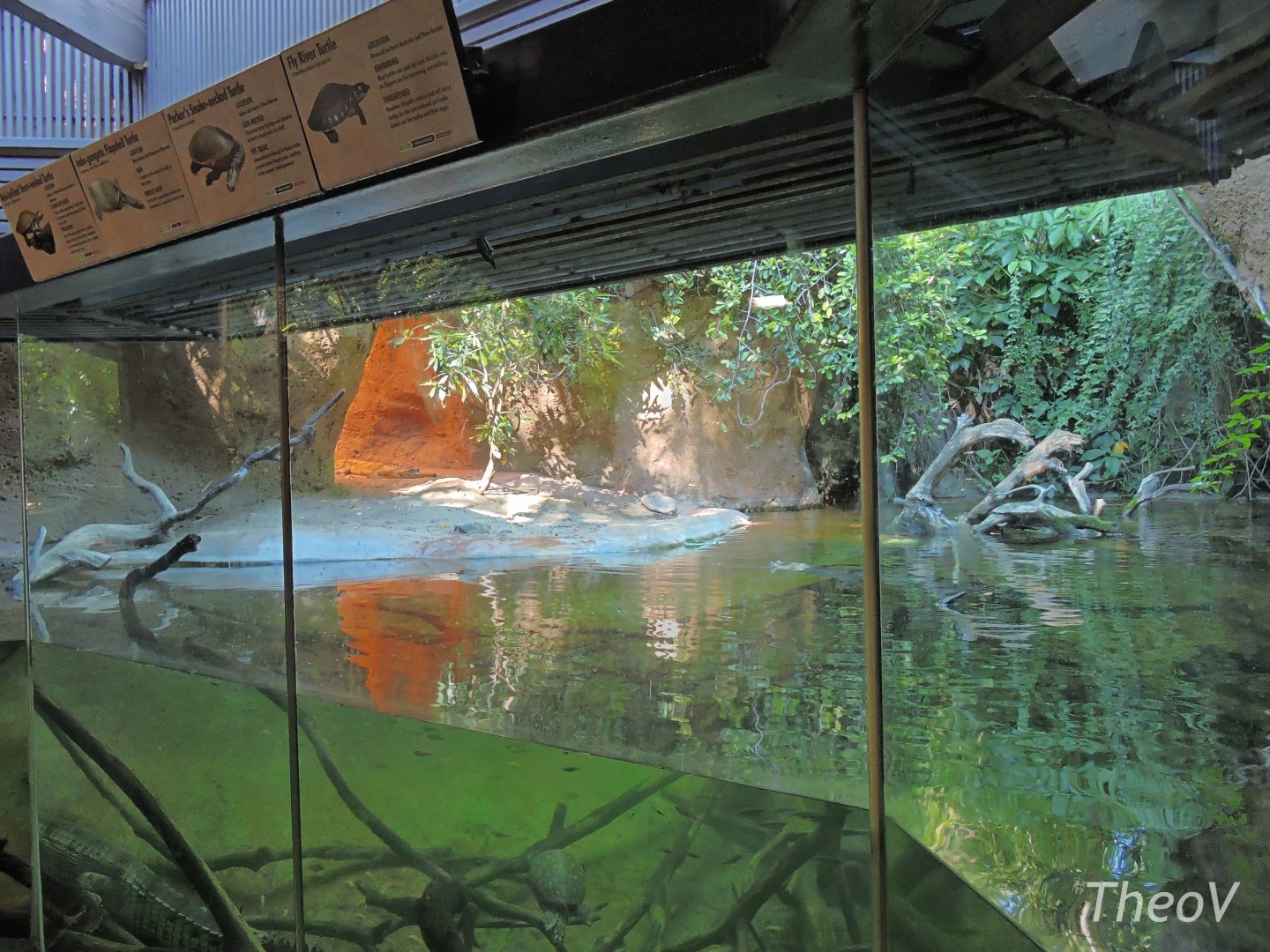 Gharial exhibit - Lost Forest [2015]