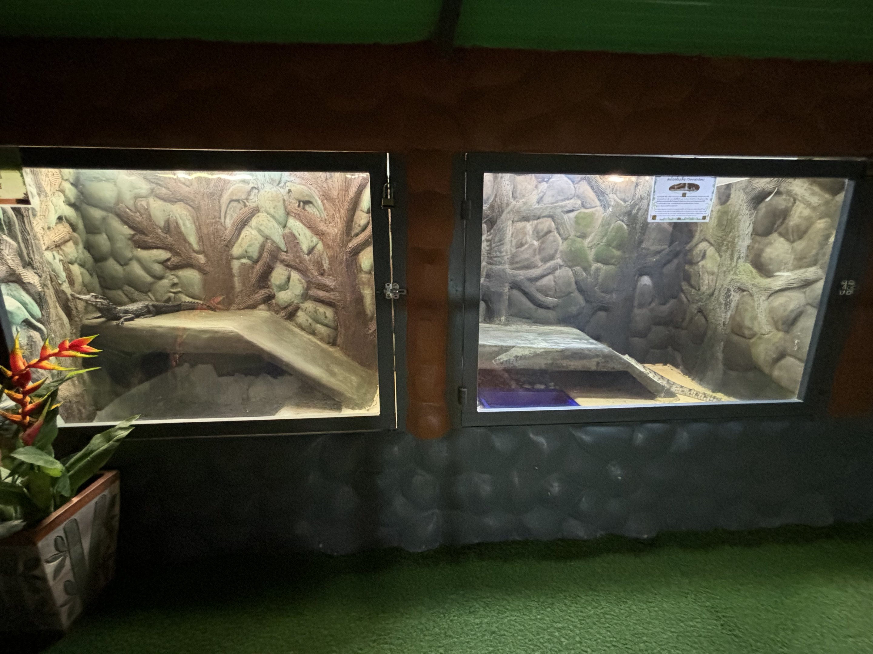 Gharial Exhibit