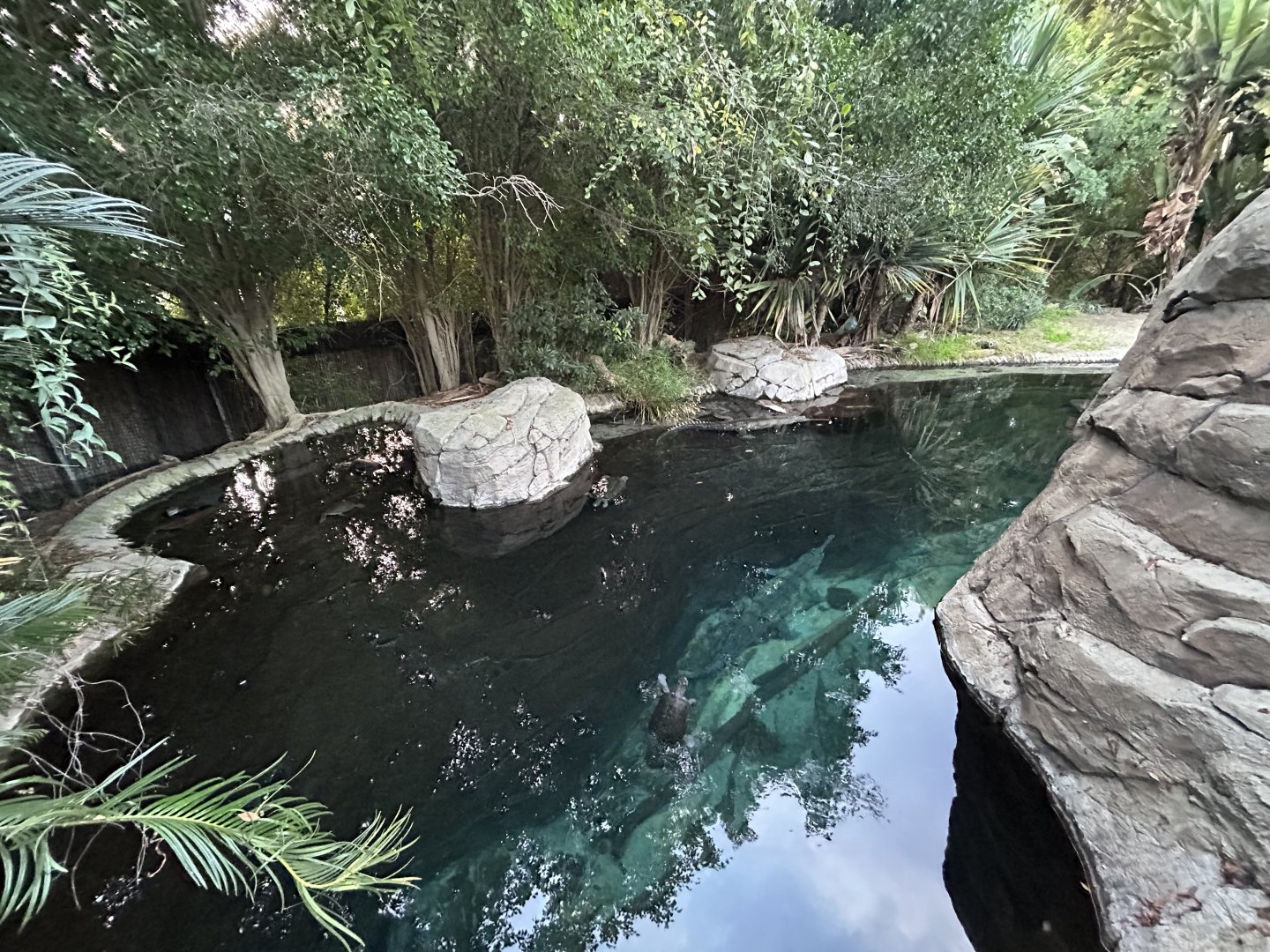 Gharial Pond - Reptile Walk