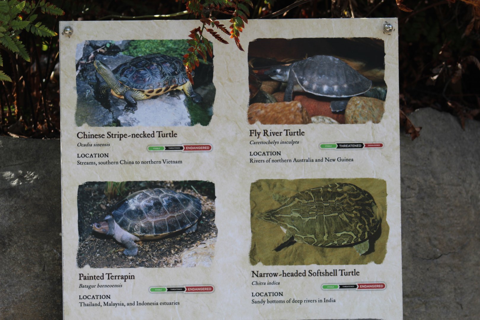 Gharial Pond Species Signage #2