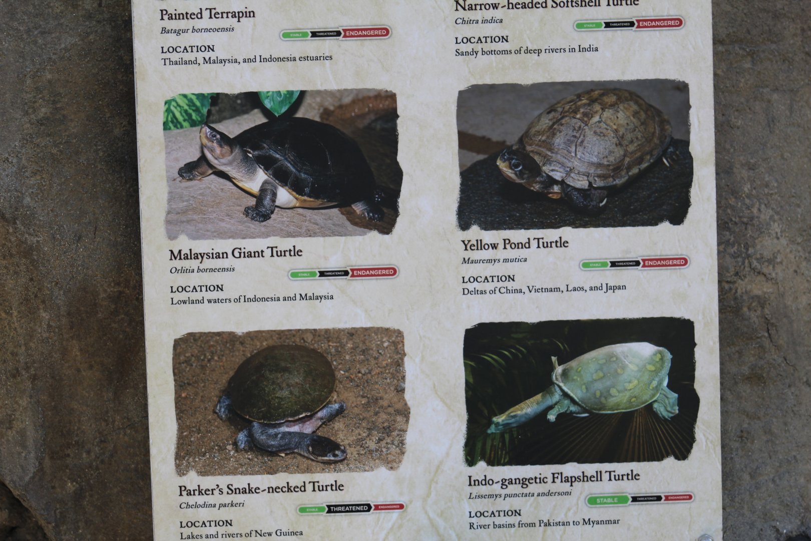 Gharial Pond Species Signage #3