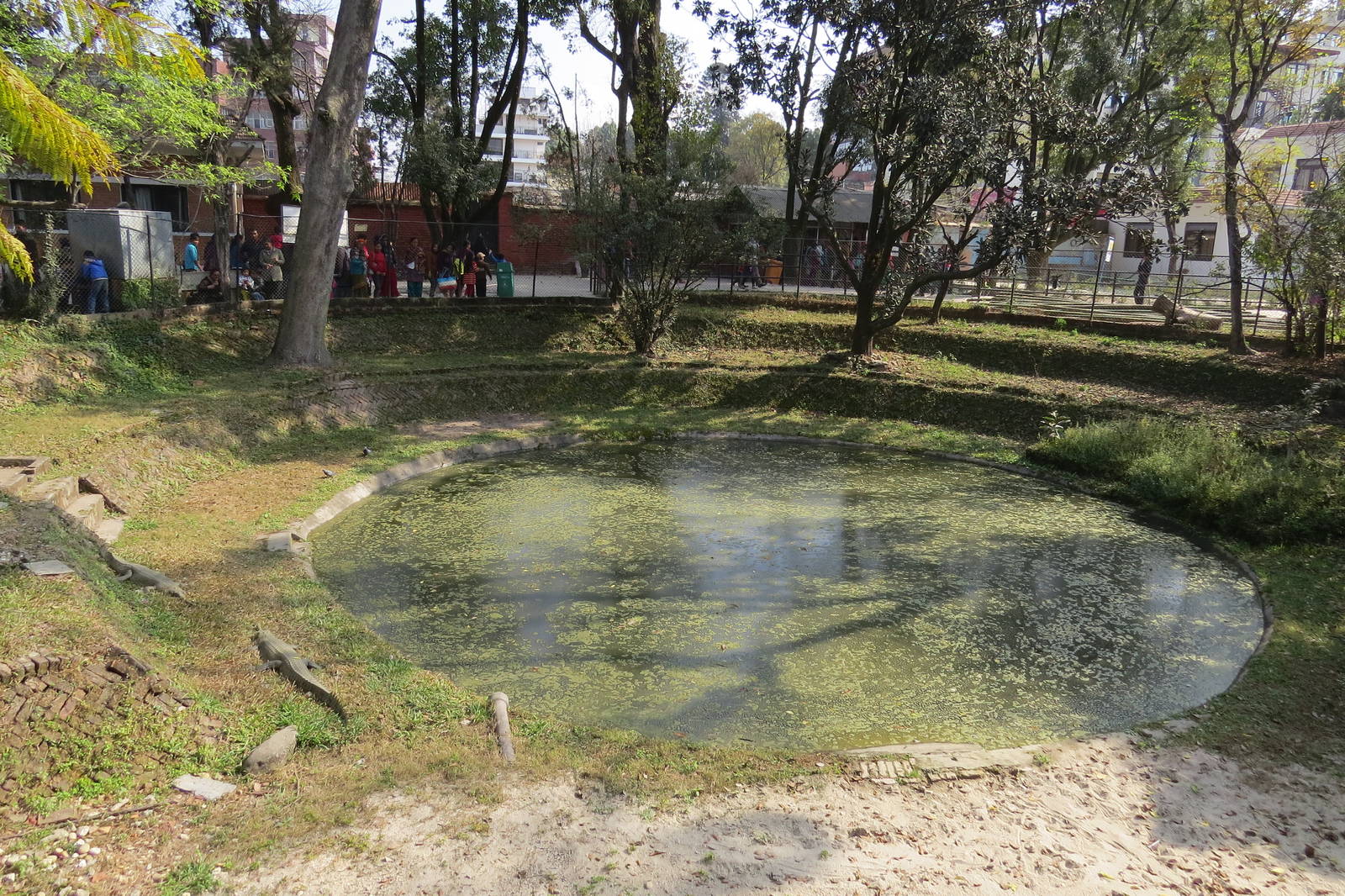 Gharial Pond