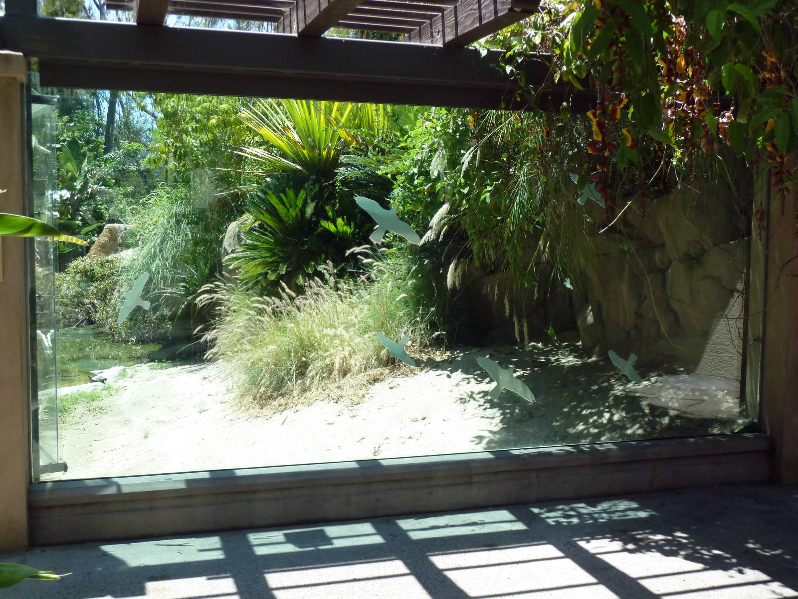 Gharial/Turtle Exhibit (7 Species)