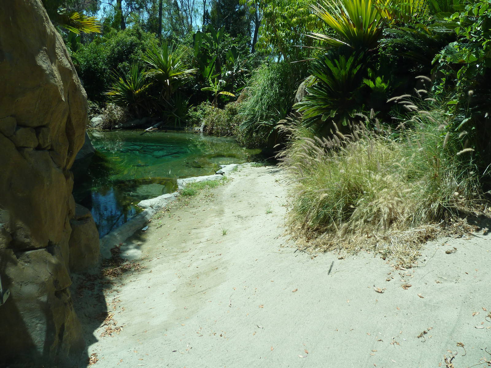 Gharial/Turtle Exhibit (7 Species)