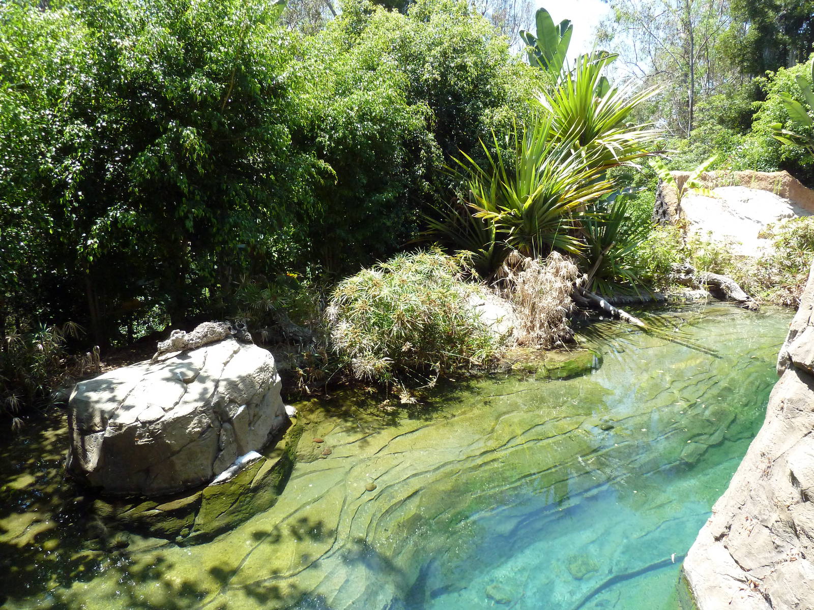 Gharial/Turtle Exhibit (7 Species)