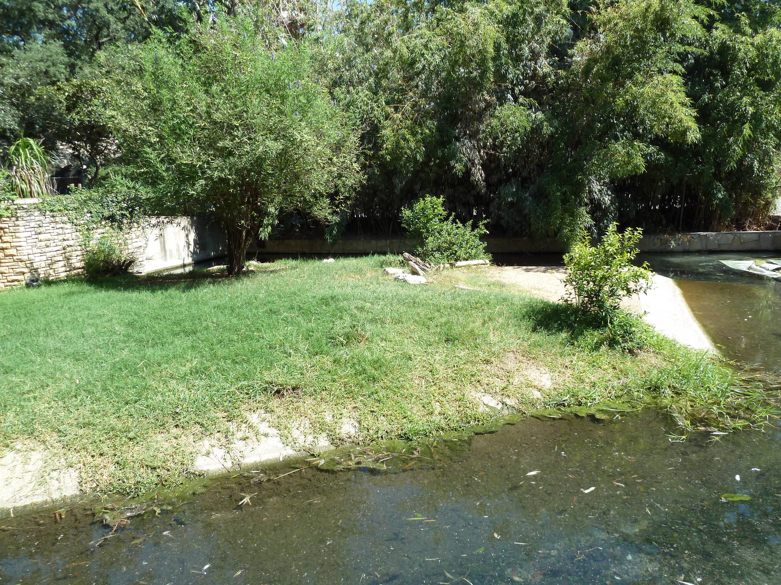 Gharial/Wattled Crane/Malayan Painted Turtle Exhibit