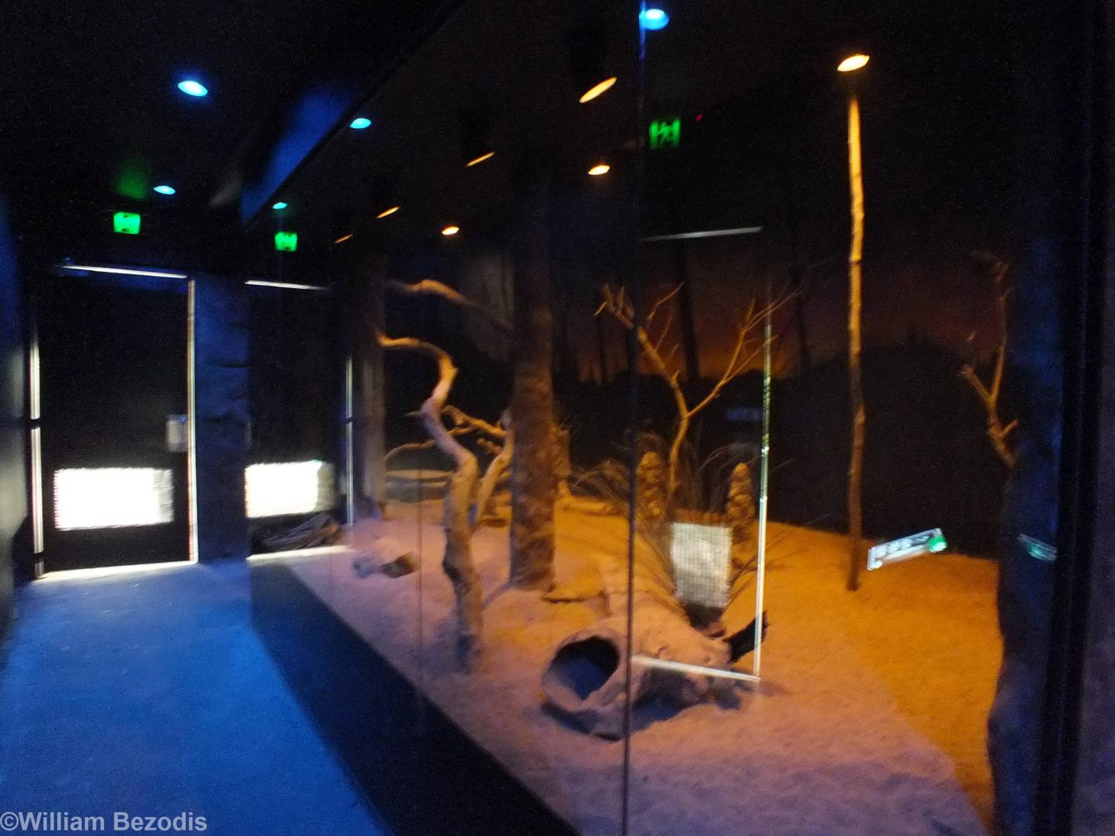 Ghost Bat and Bilby Enclosure