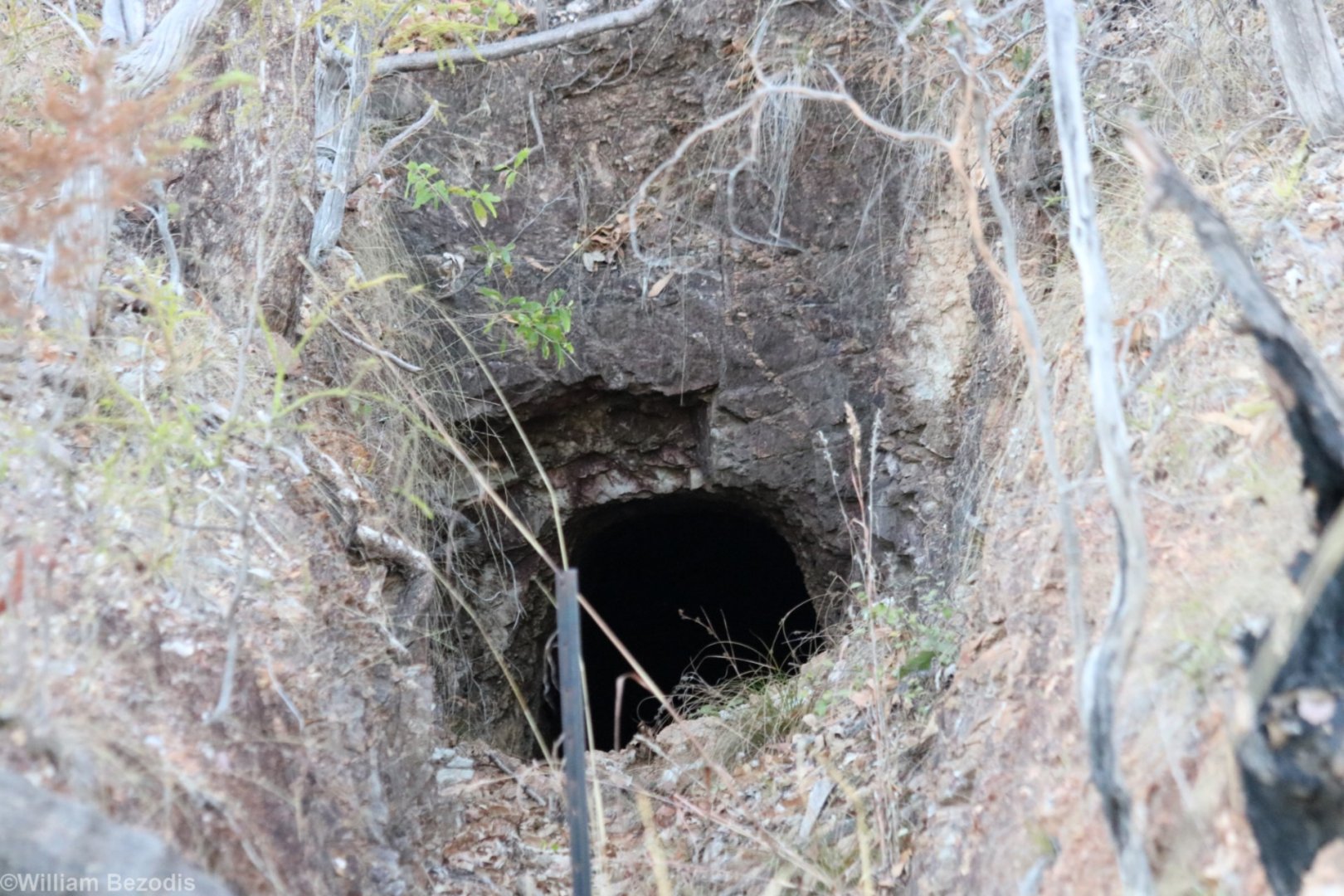 Ghost Bat Cave - Pine Creek