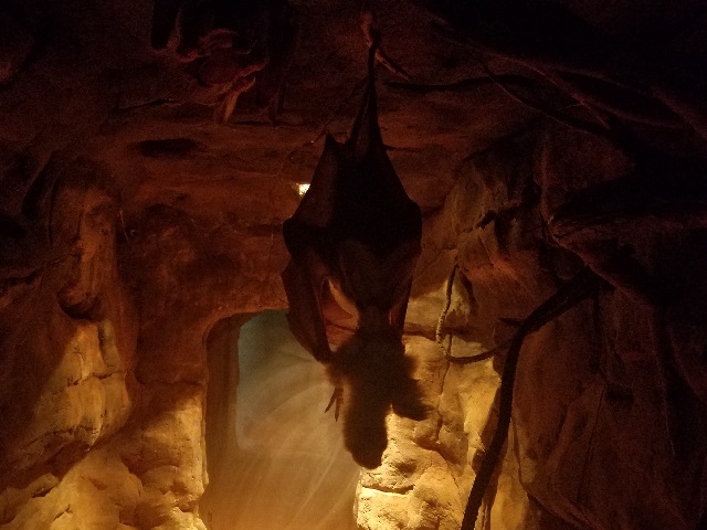 Ghost Bat