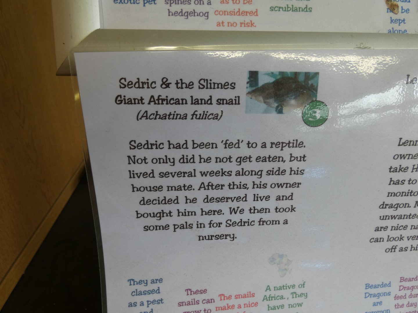 Giant African Land Snail Signage