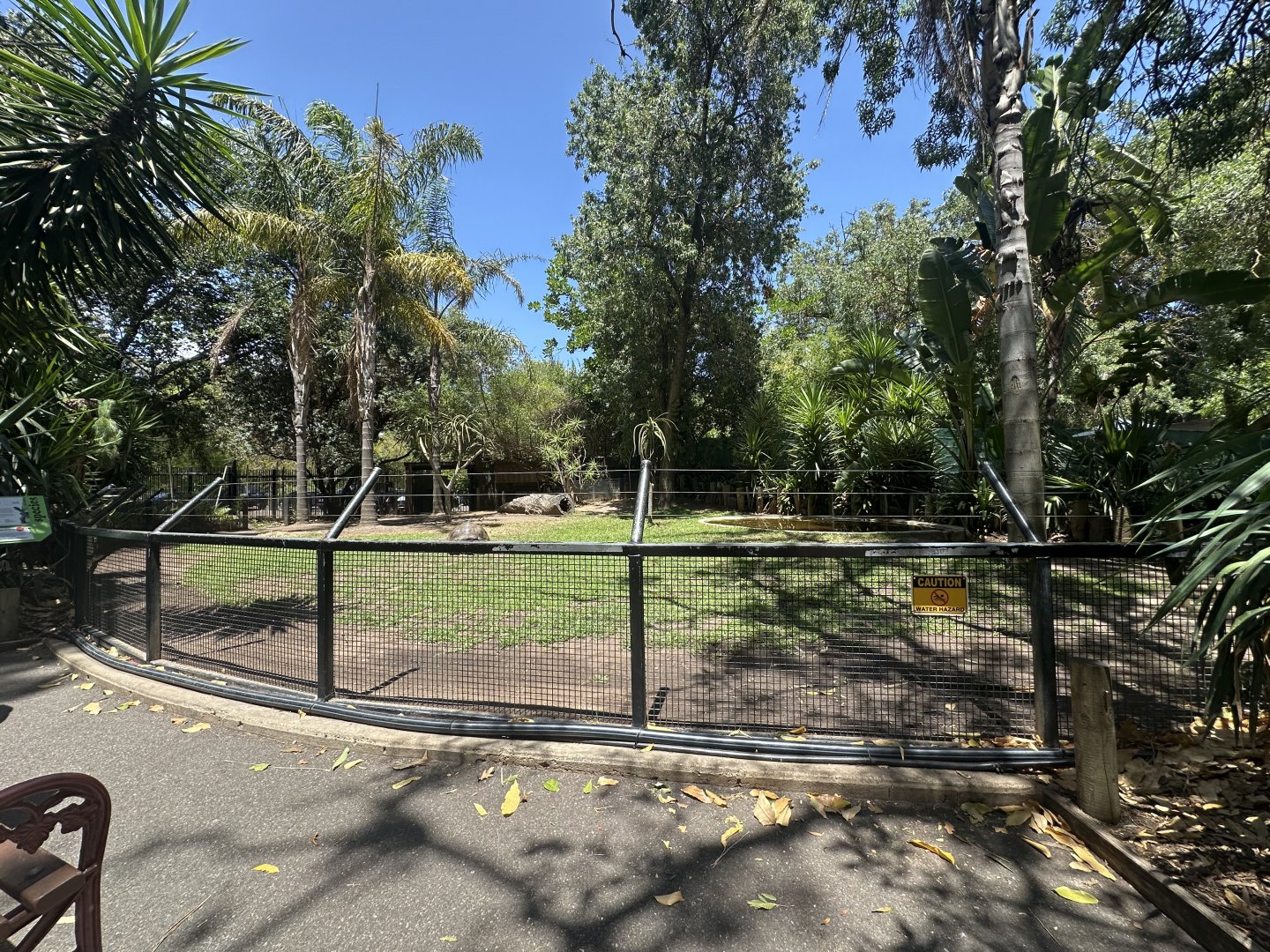 Giant Aldabra tortoise exhibit