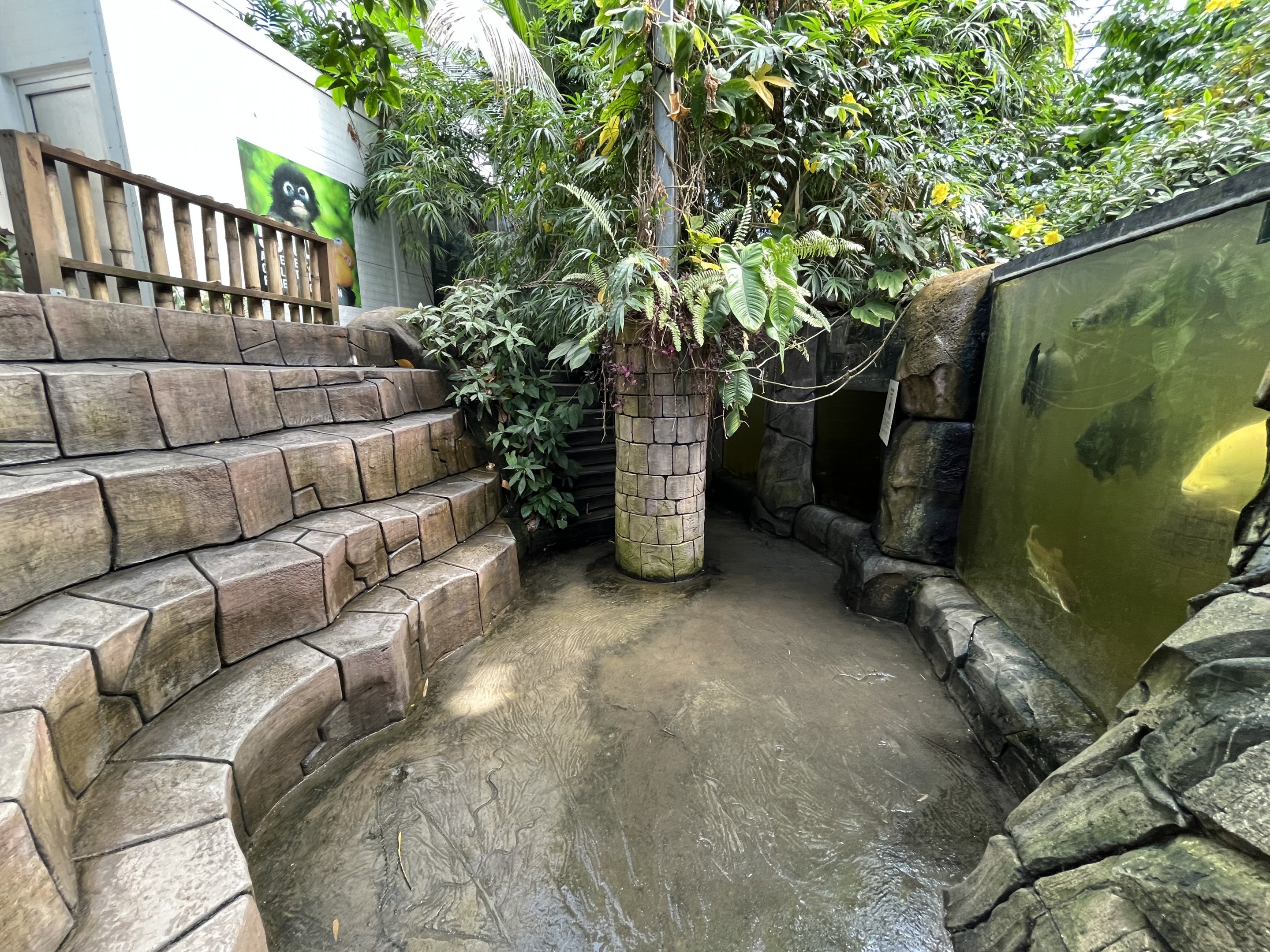 Giant Amazon Fish Exhibit