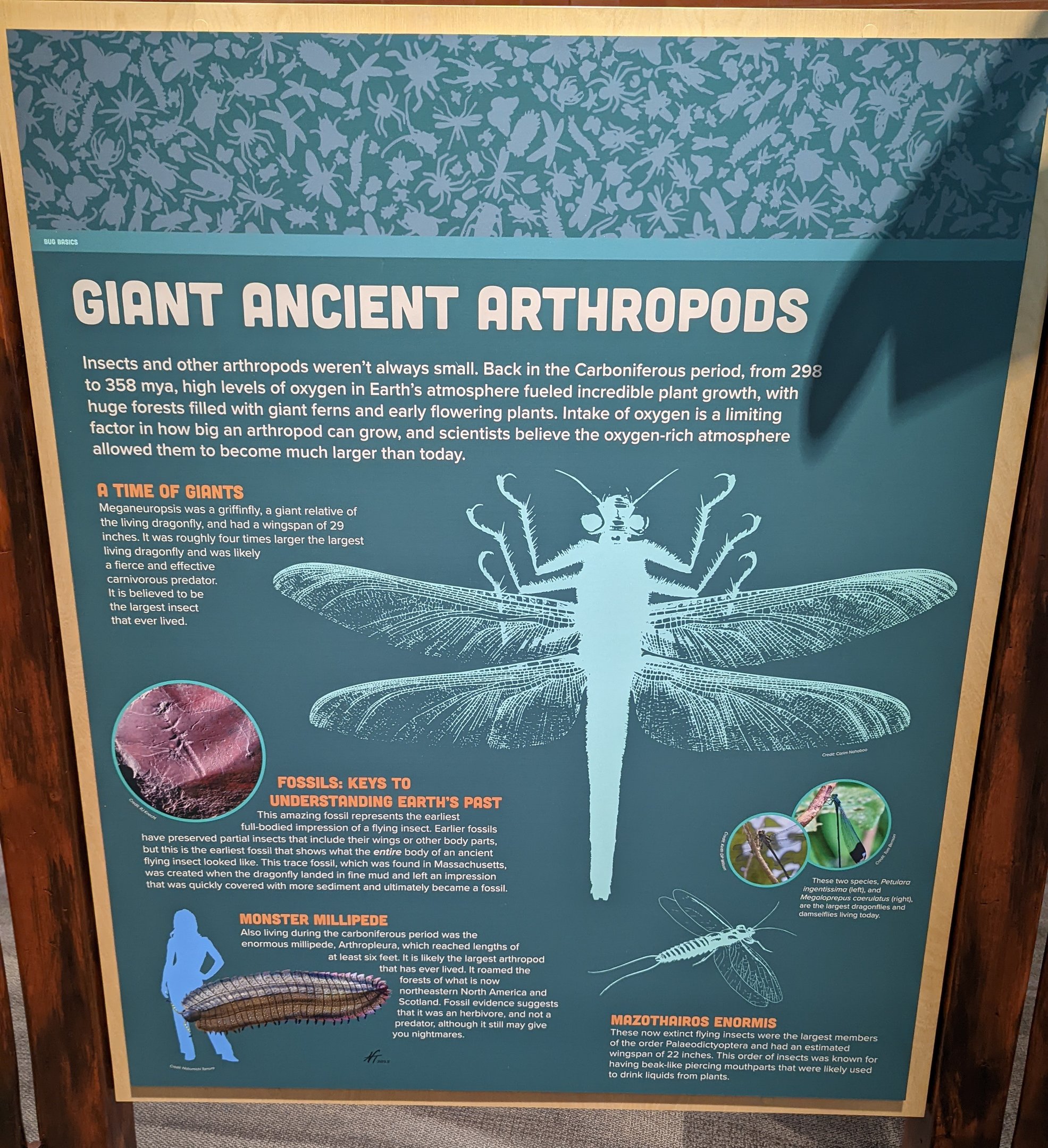 Giant Ancient Arthropod Signage