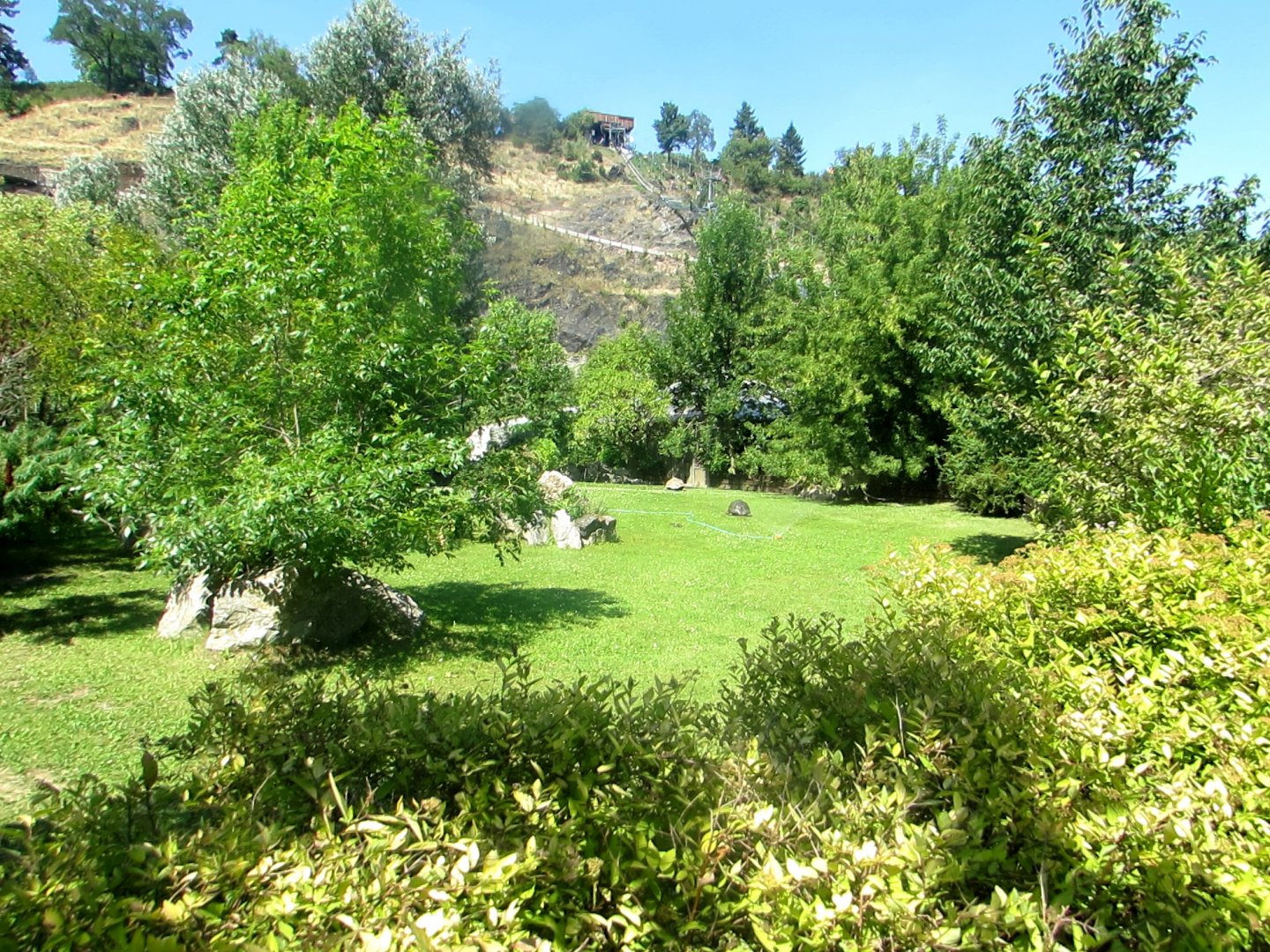 Giant and Galapagos Tortoises outdoor enclosure - July/2017