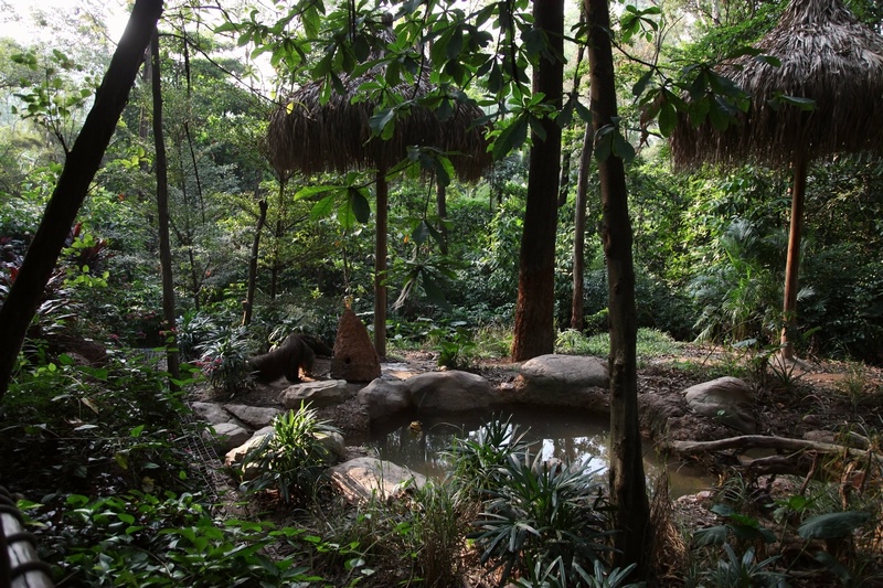 Giant ant-eater outdoor exhibit