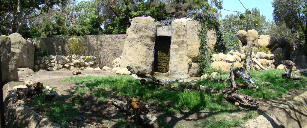 Giant Antearter exhibit at the Santa Barbara Zoo