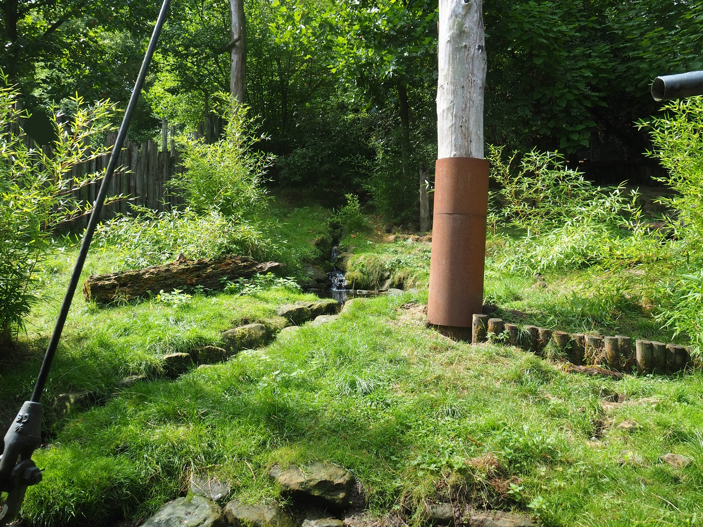 Giant anteater and Azara's agouti exhibit (Within Puna South American aviary), 2022-08-20