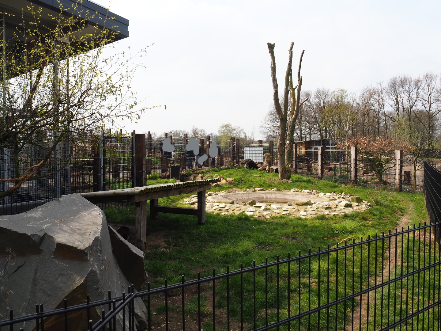 Giant anteater and Azara's agouti paddock, 2019-04-06