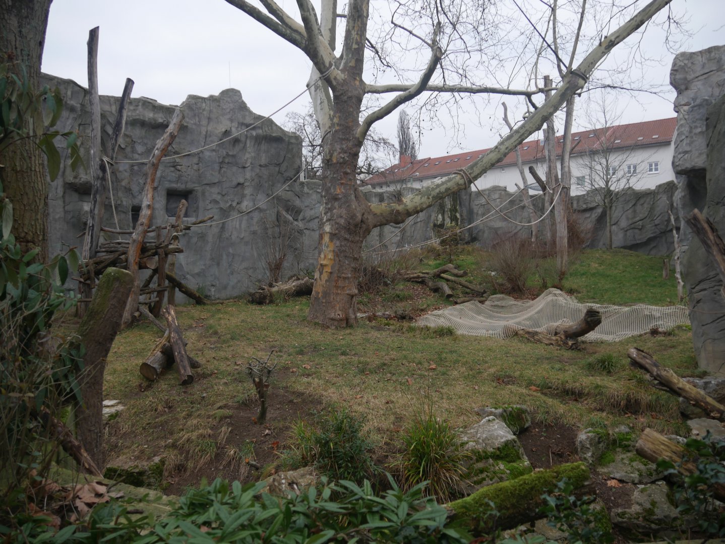 Giant anteater and black holwer monkey outdoor enclosure (January 2019)
