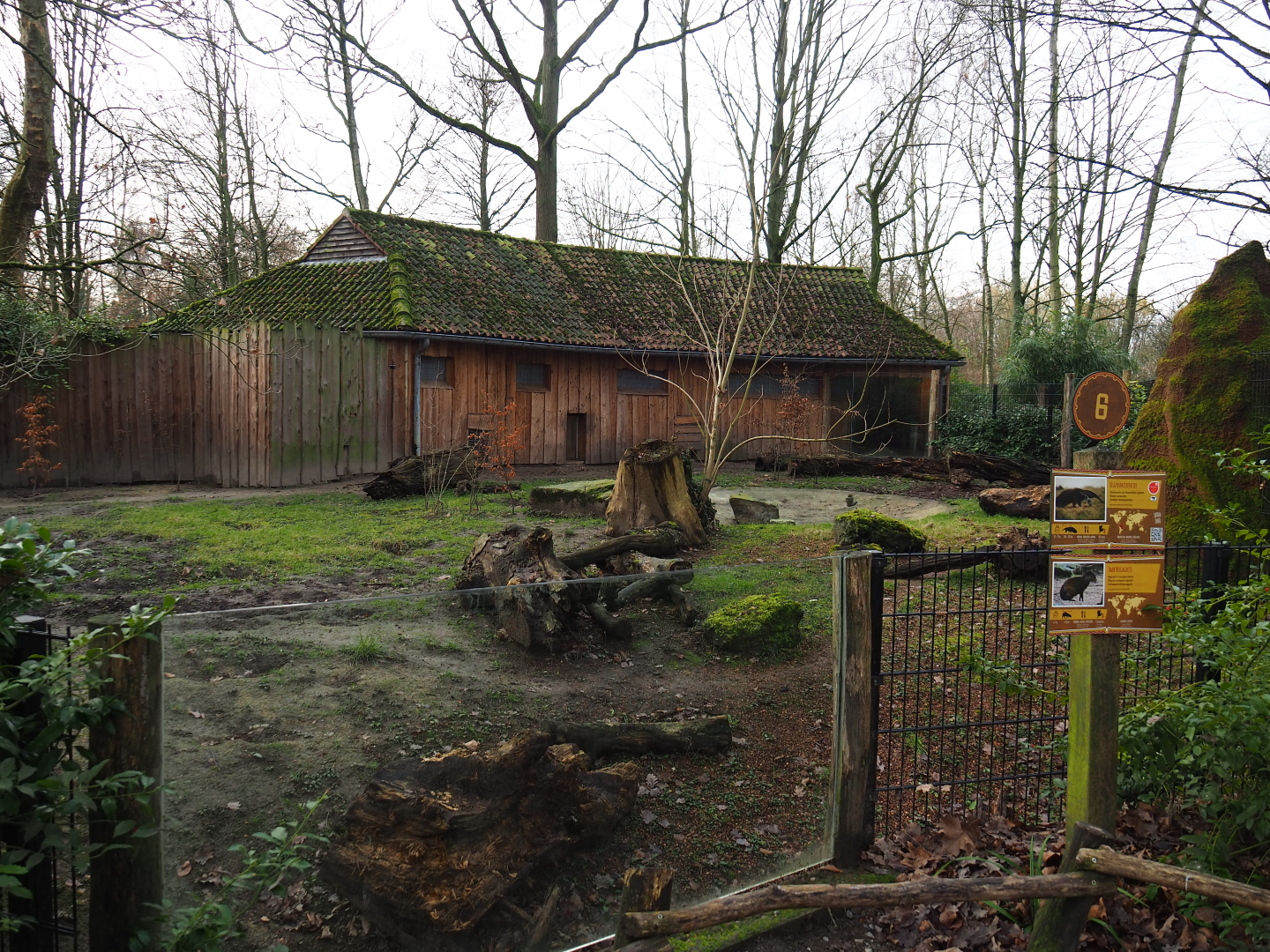 Giant anteater and Black-rumped agouti exhibit, 2020-01-11