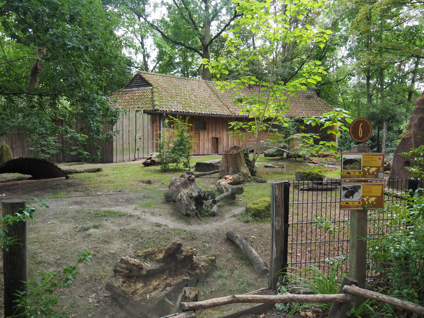 Giant anteater and Black-rumped agouti exhibit, 2020-07-14