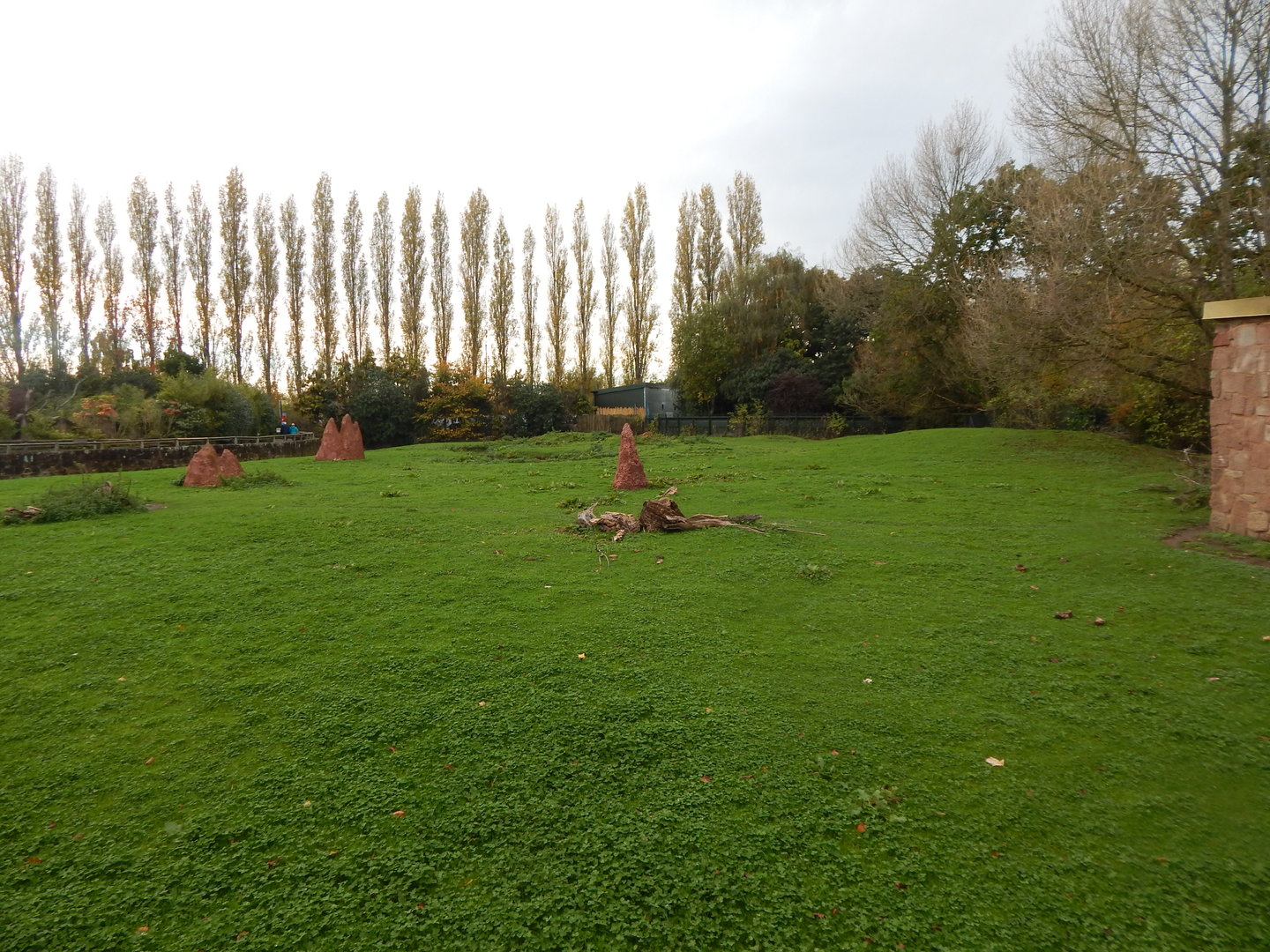 Giant anteater and Capybara enclosure 221022