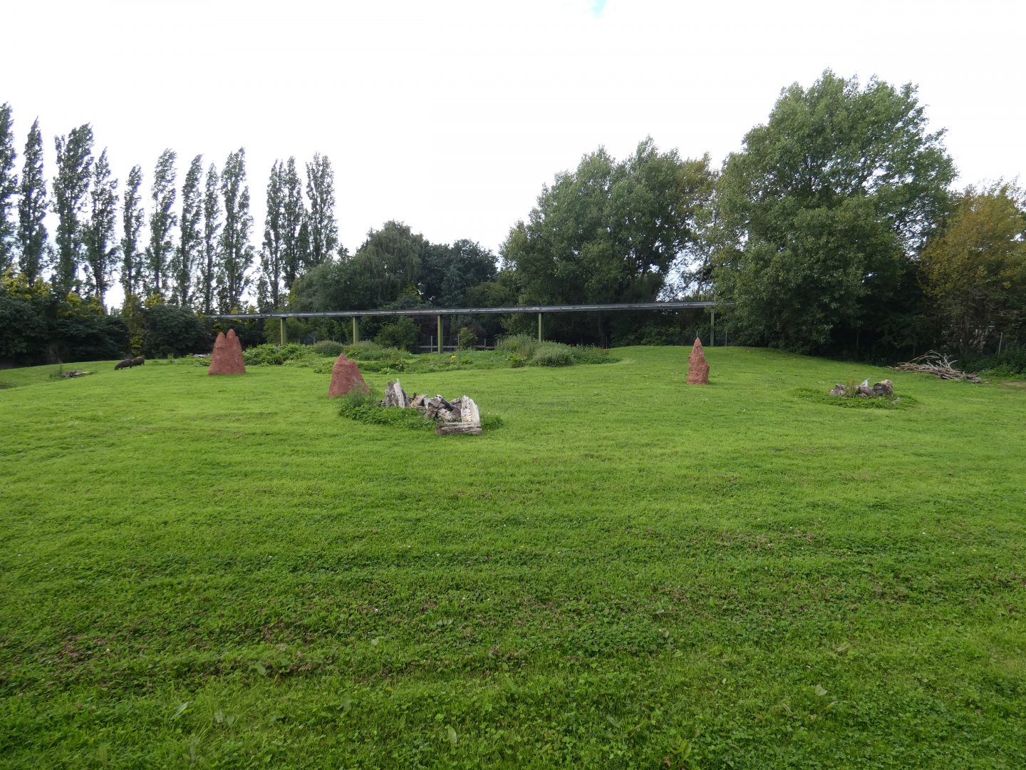 Giant Anteater and Capybara enclosure