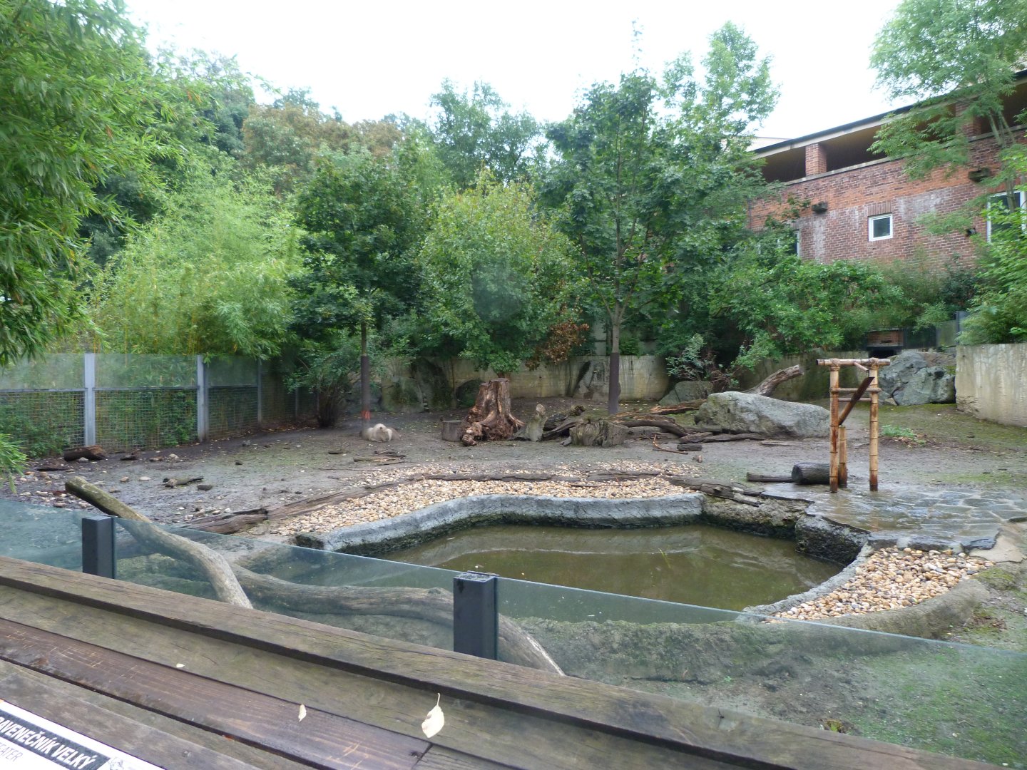 Giant anteater and Capybara exhibit -Zoo Praha (2025)