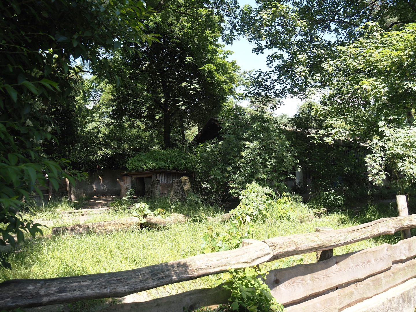 Giant anteater and Lowland tapir exhibit, 2024-06-08