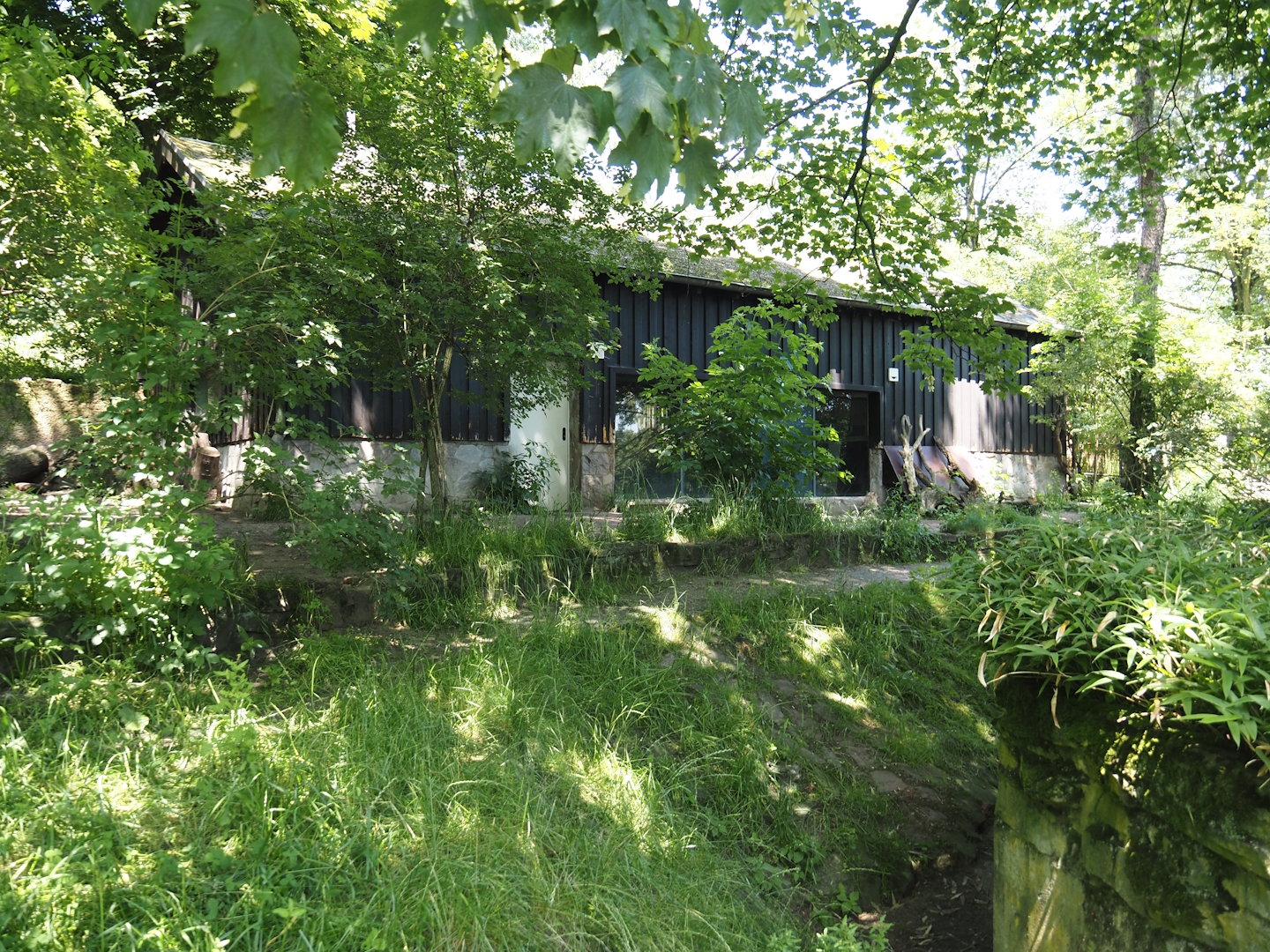 Giant anteater and Lowland tapir exhibit, 2024-06-08