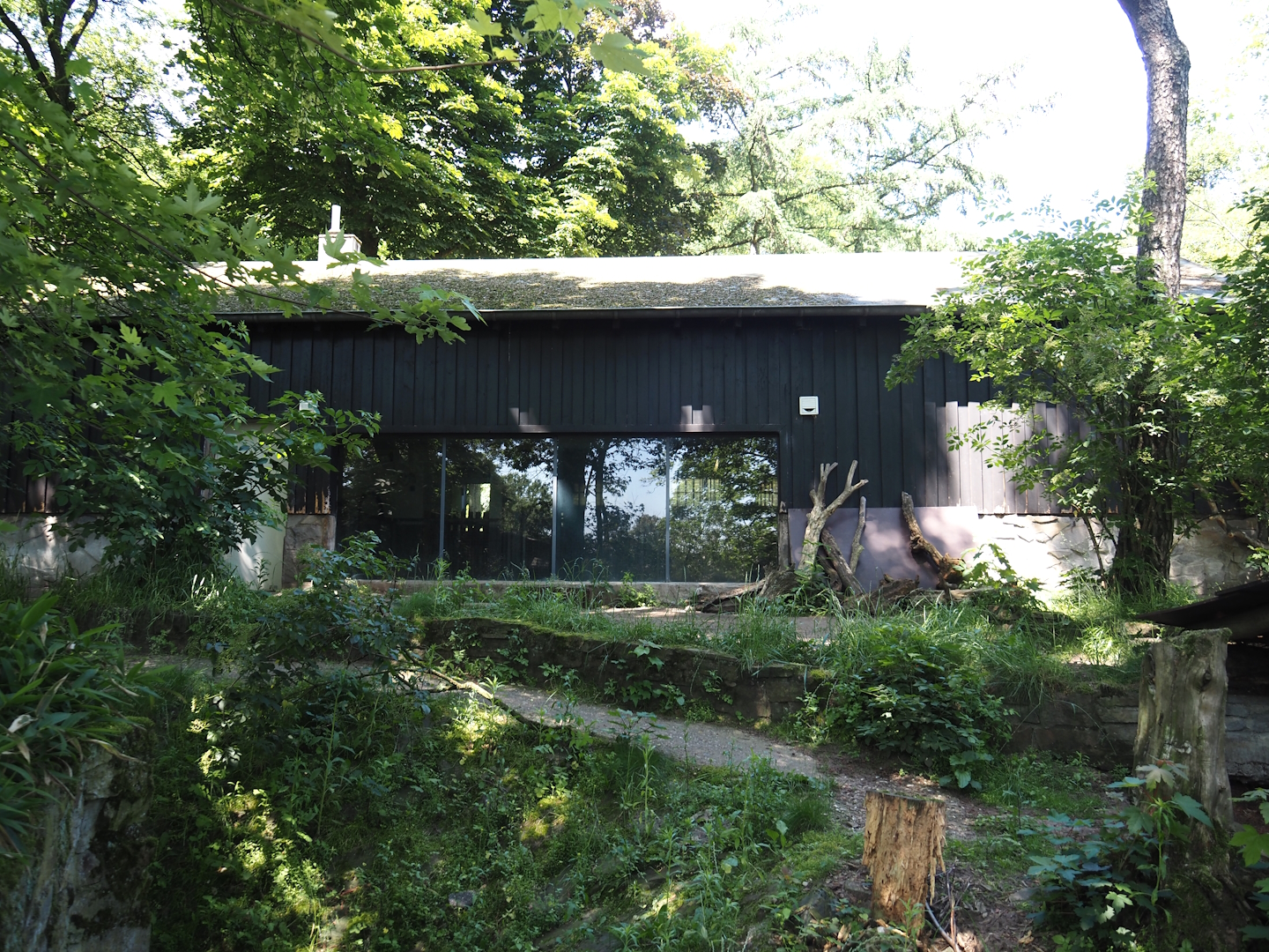 Giant anteater and Lowland tapir exhibit, 2024-06-08