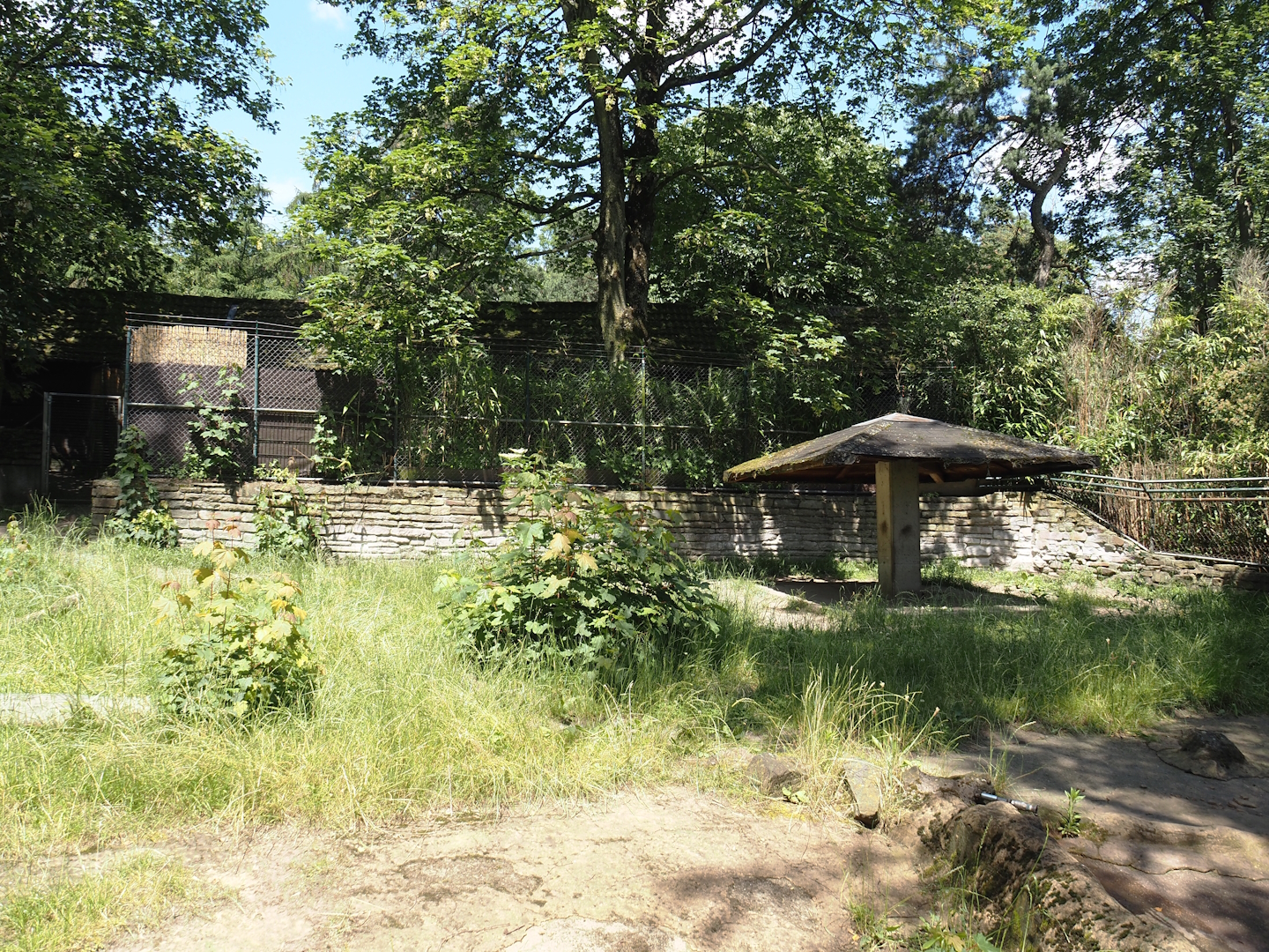 Giant anteater and Lowland tapir exhibit, 2024-06-08