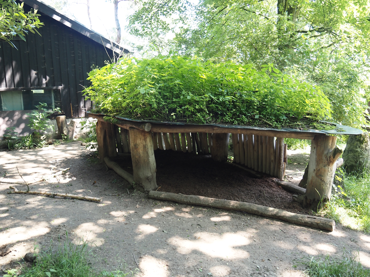 Giant anteater and Lowland tapir exhibit - Shelter with green/living roof, 2024-06-08
