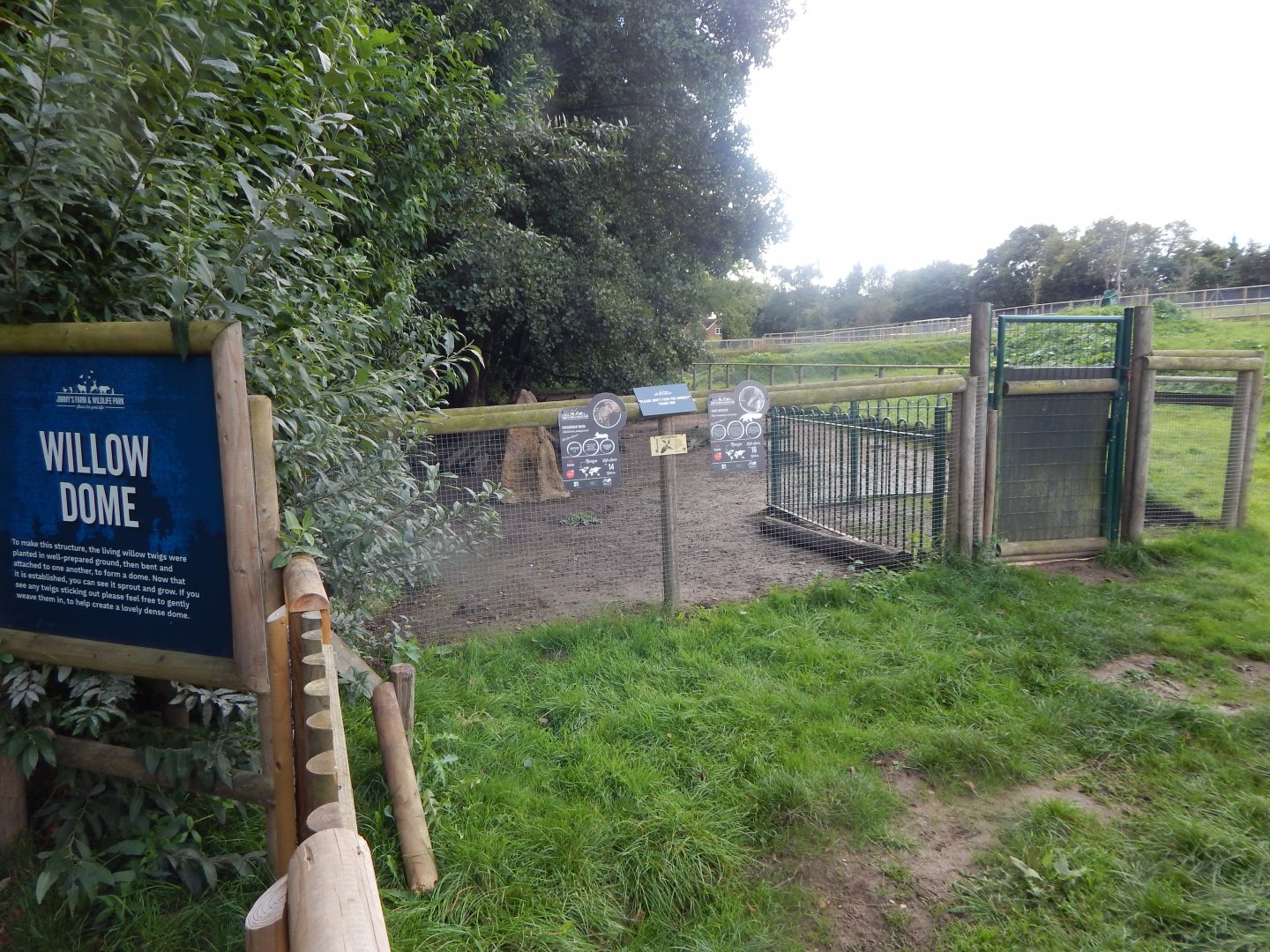 Giant anteater and Patagonian mara enclosure 130925