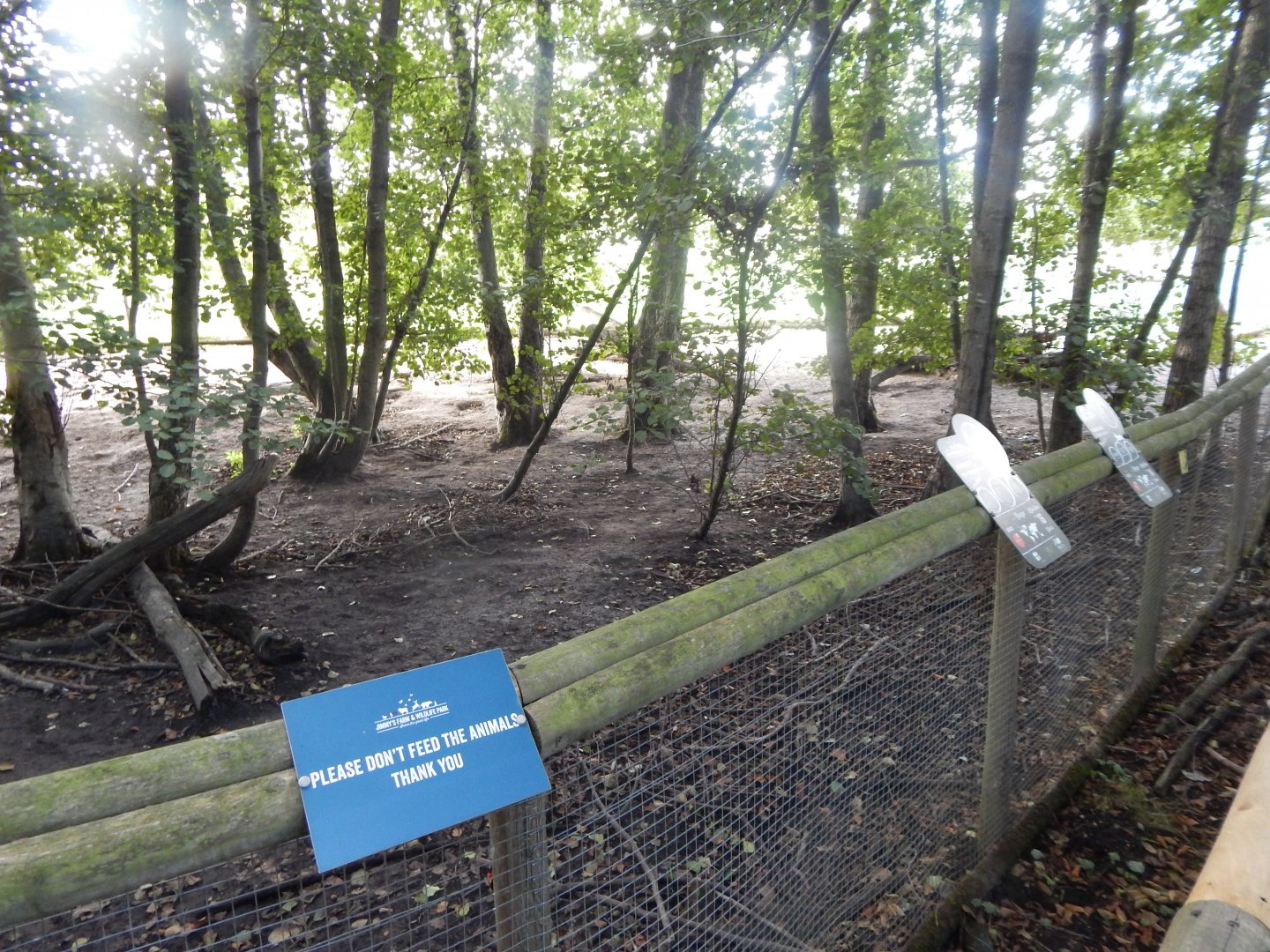 Giant anteater and Patagonian mara enclosure 130925
