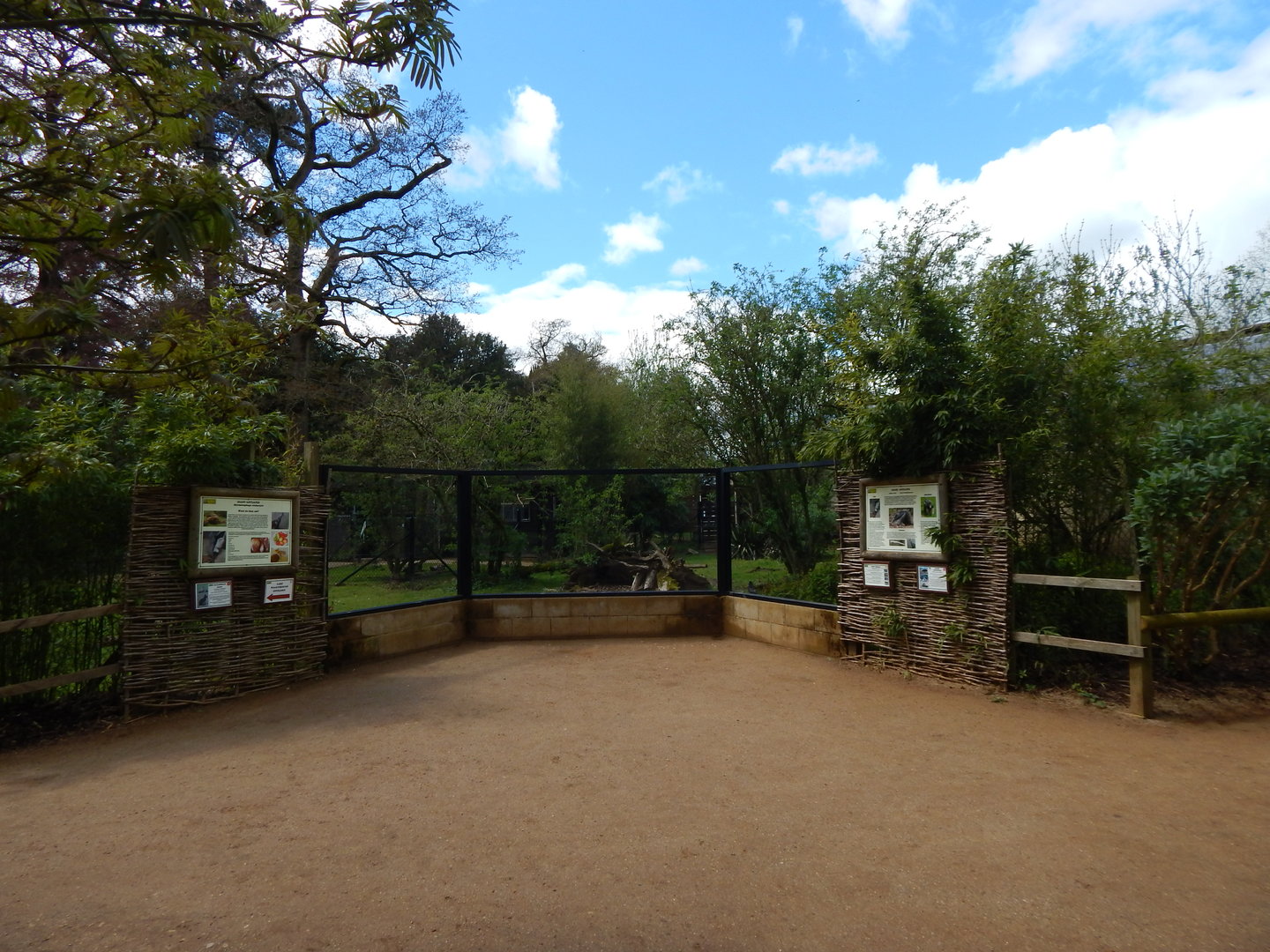 Giant anteater and Patagonian mara enclosure 280423