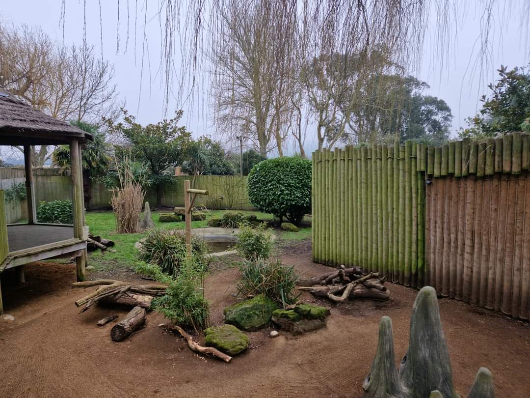 Giant Anteater/Azara’s Agouti exhibit