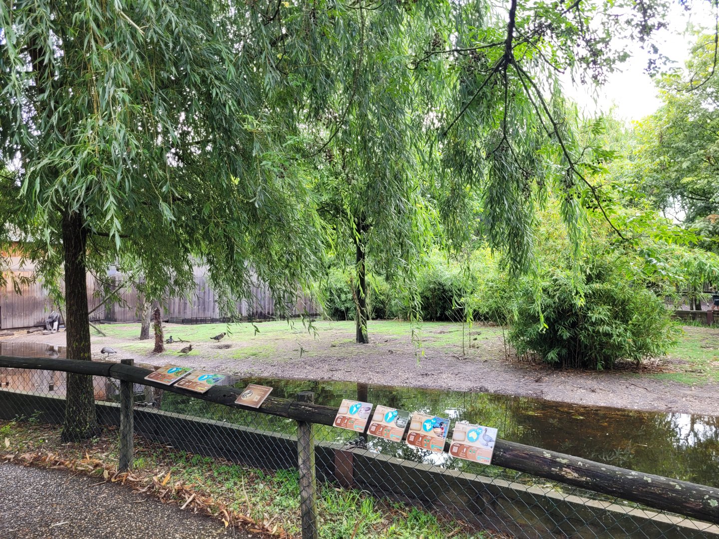 Giant anteater, Bolivian squirrel monkey and waterfowl exhibit -Zoo du bassin d'Arcachon (2024)