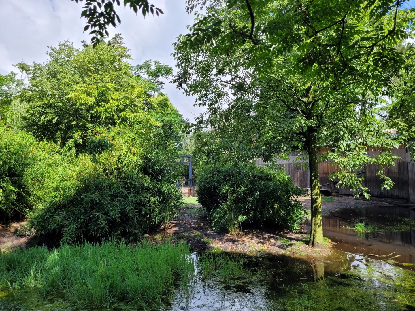 Giant anteater, Bolivian squirrel monkey and waterfowl exhibit -Zoo du bassin d'Arcachon (2024)