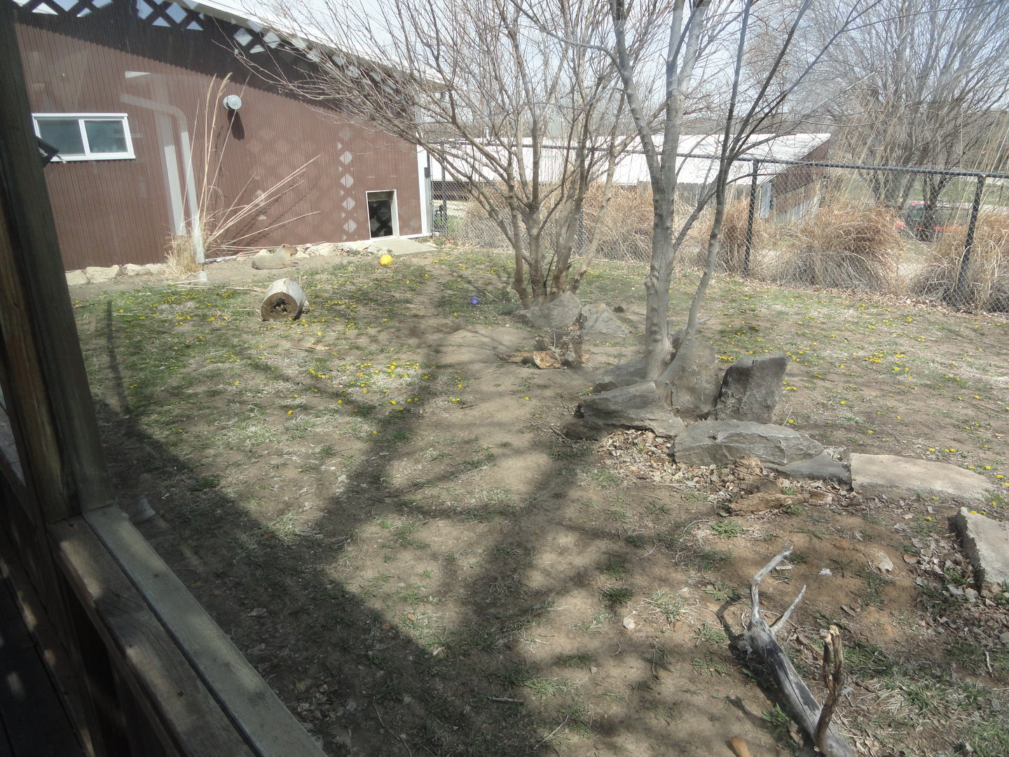 Giant Anteater & Capybara Exhibit