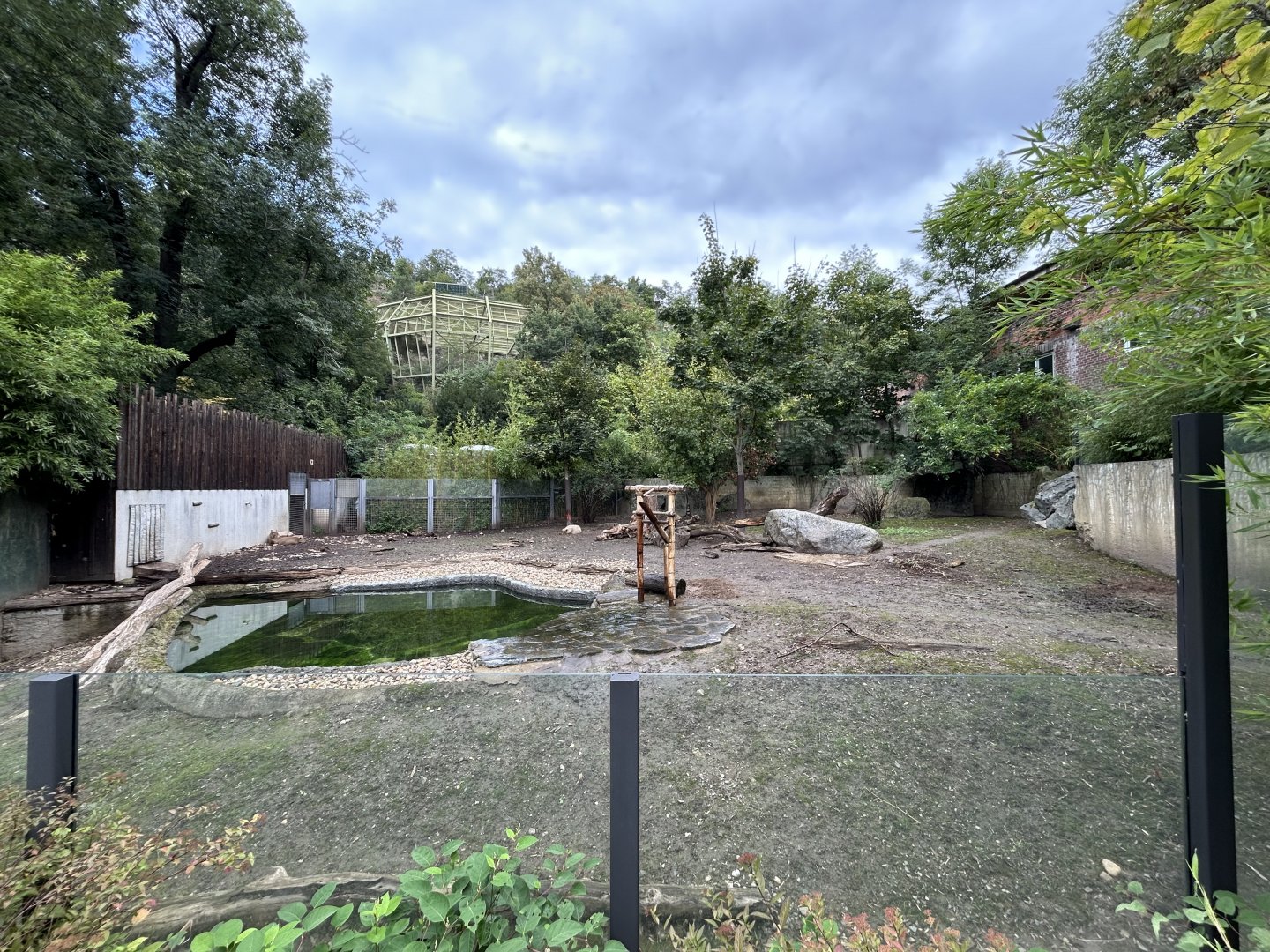 Giant Anteater & Capybara Exhibit