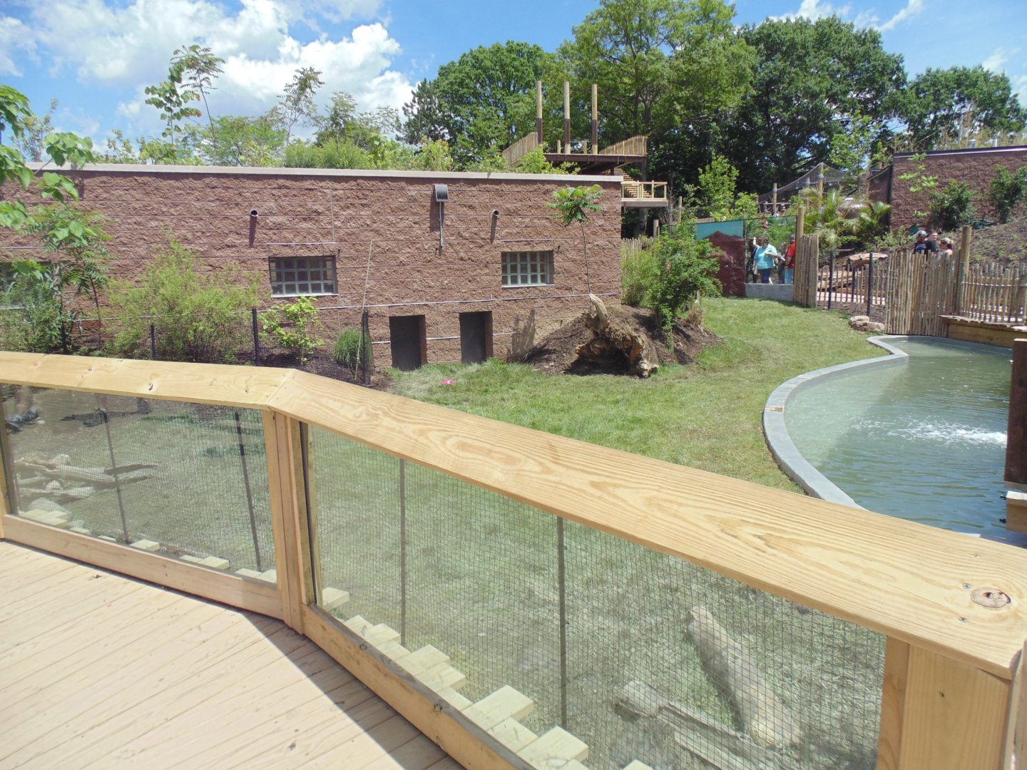 Giant Anteater/Caybara Exhibit