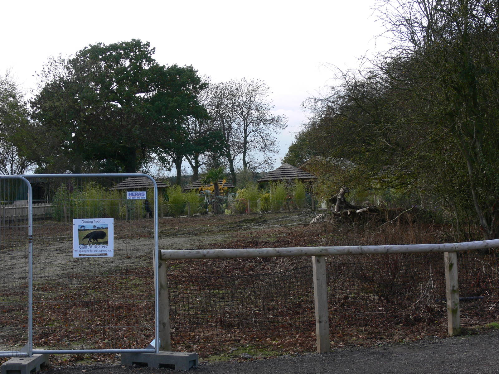 Giant Anteater Construction Site at Yorkshire WP 01/11/12